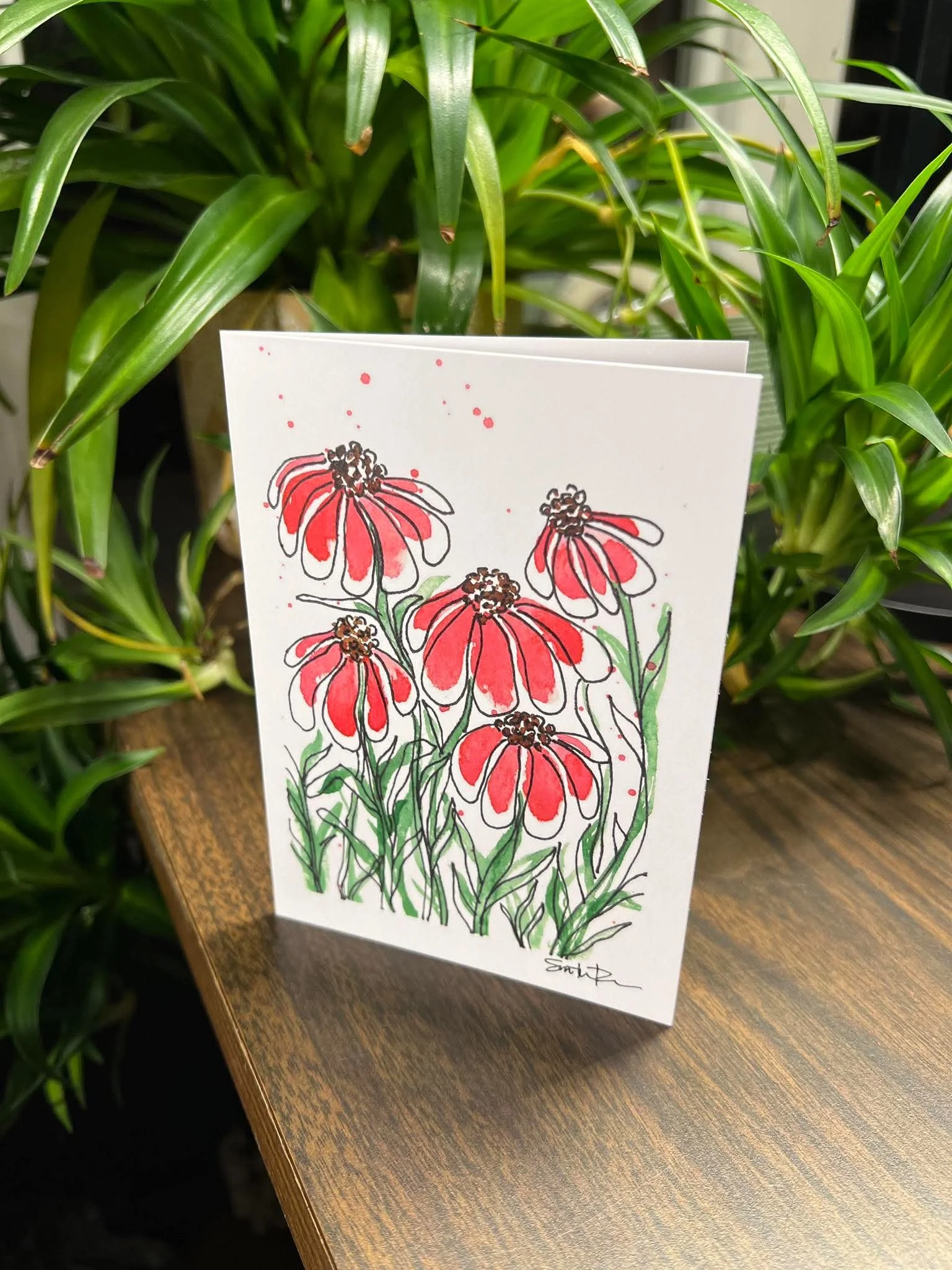 Pink Echinacea, Cardstock, by SamSconsin Art