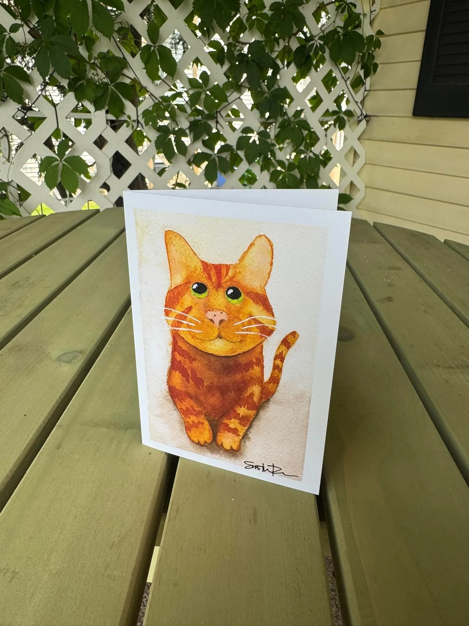 Tabby Cat, Cardstock by SamSconsin