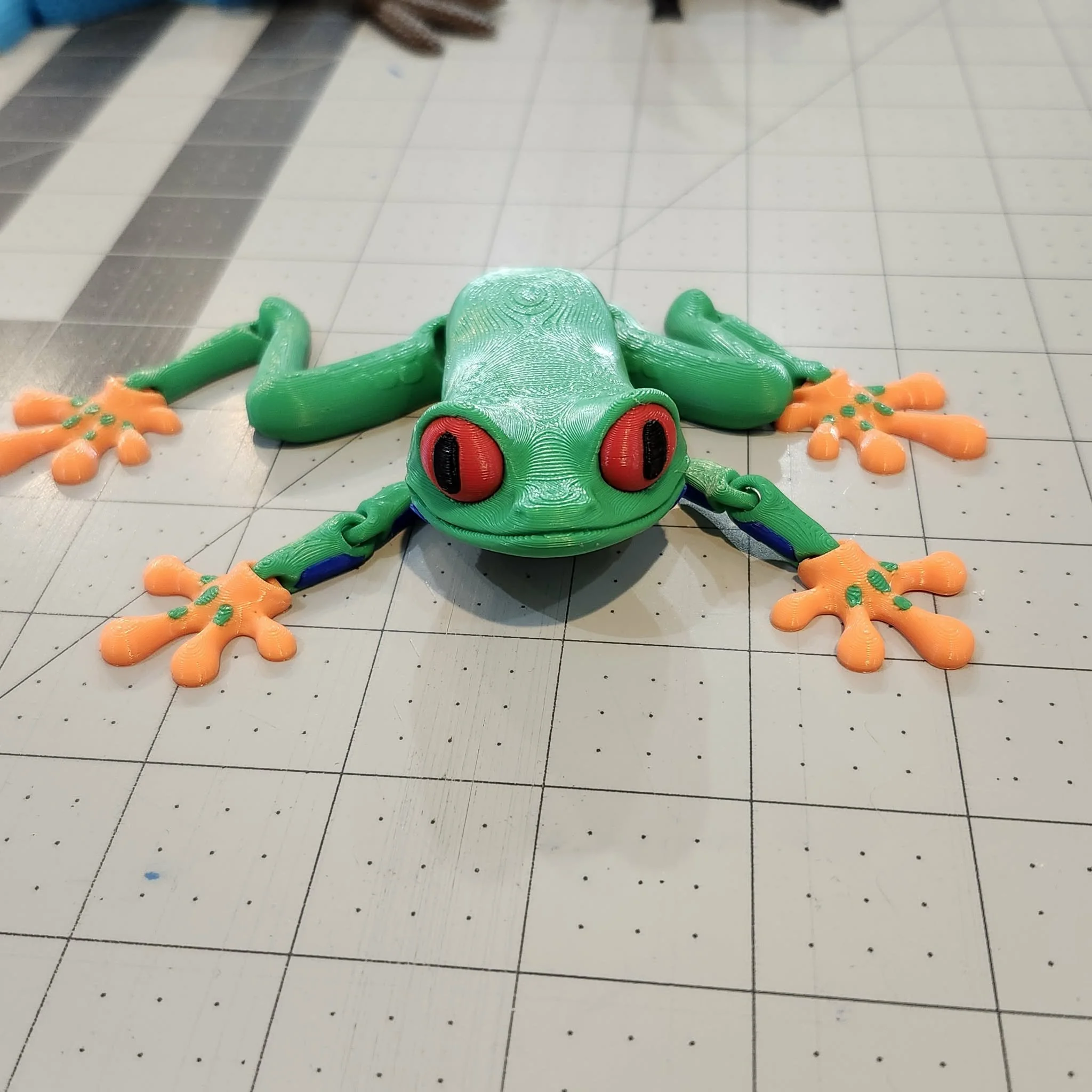 Red Eye Tree Frog, by Holly Ripley