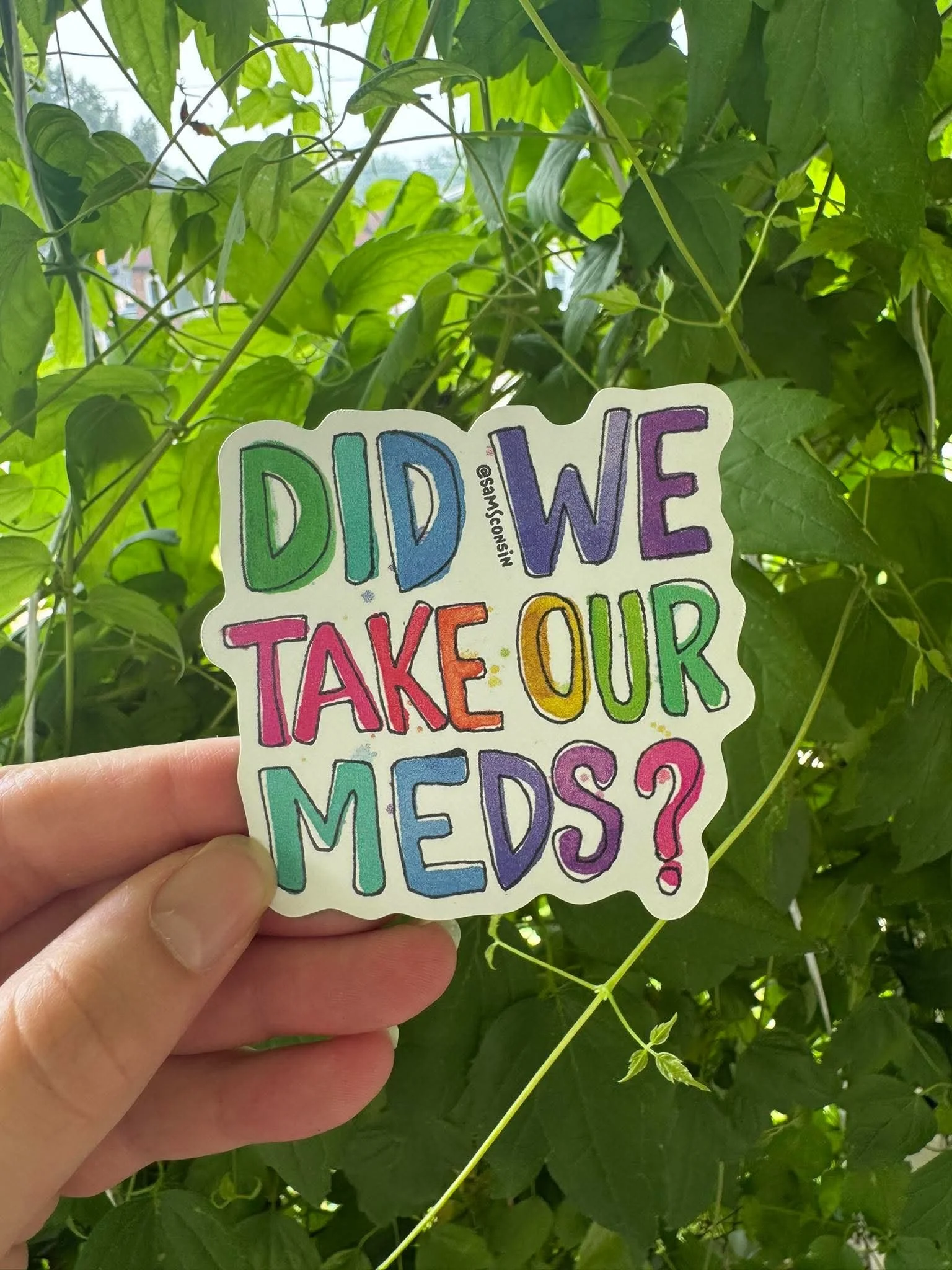 Did We Take Our Meds, Magnet by SamSconsin
