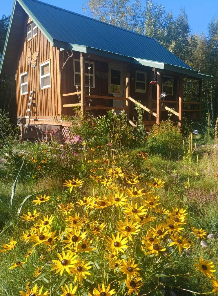 A wooden house with a green metal roof, surrounded by colorful flowers, including yellow daisies, in a lush garden on a sunny day.