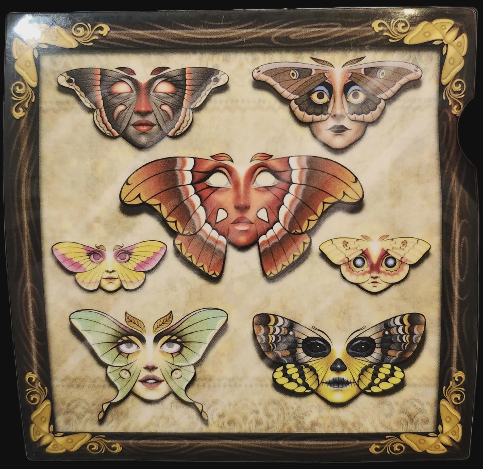 Little Moth Faces by Tattooed Mannequin