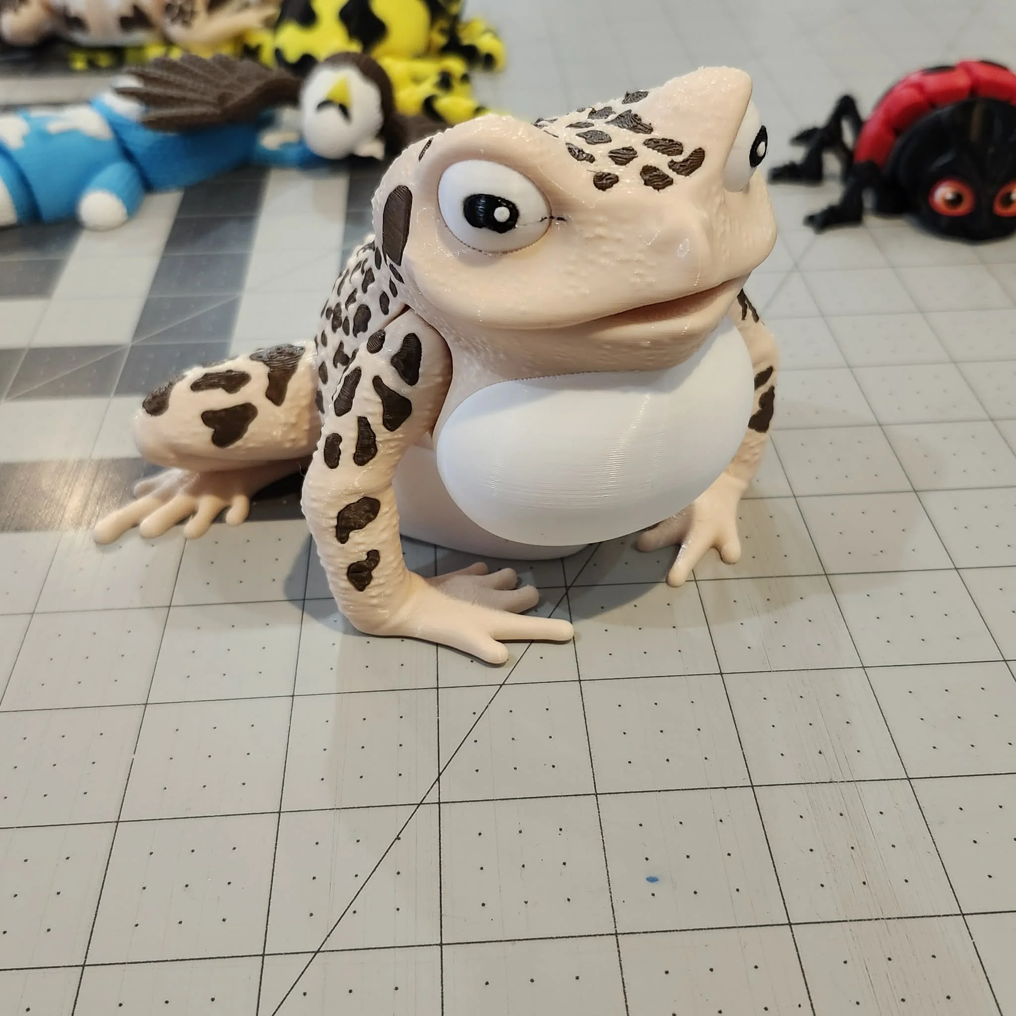 Rain Frog, by Holly Ripley