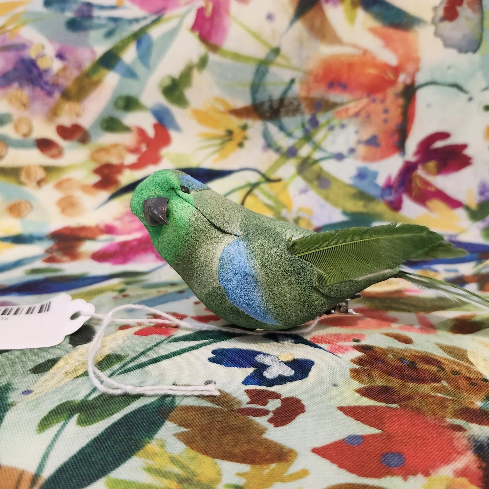 Parakeet by Michelle LeBrun