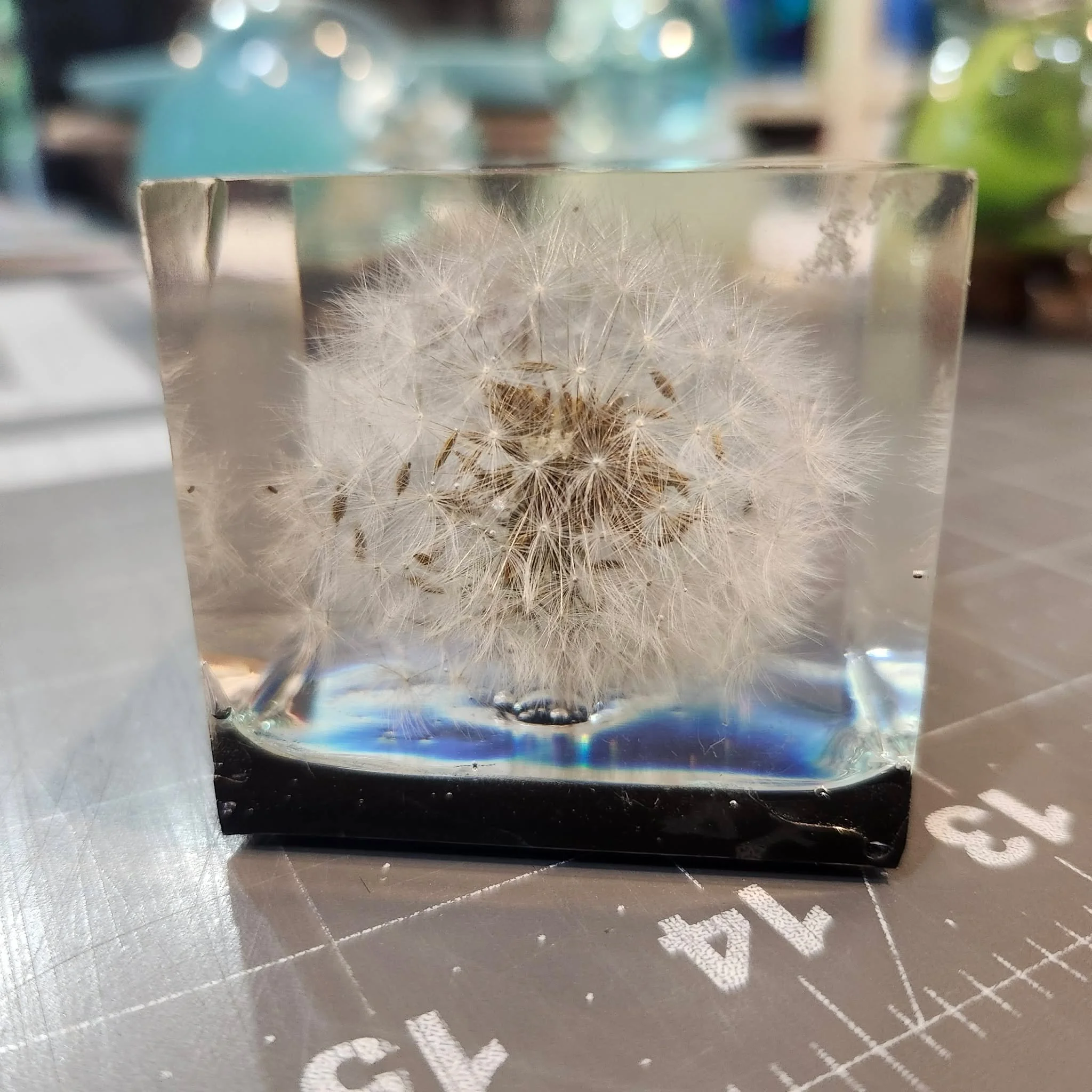 Dandelion Blowball by 3DRAWcreations