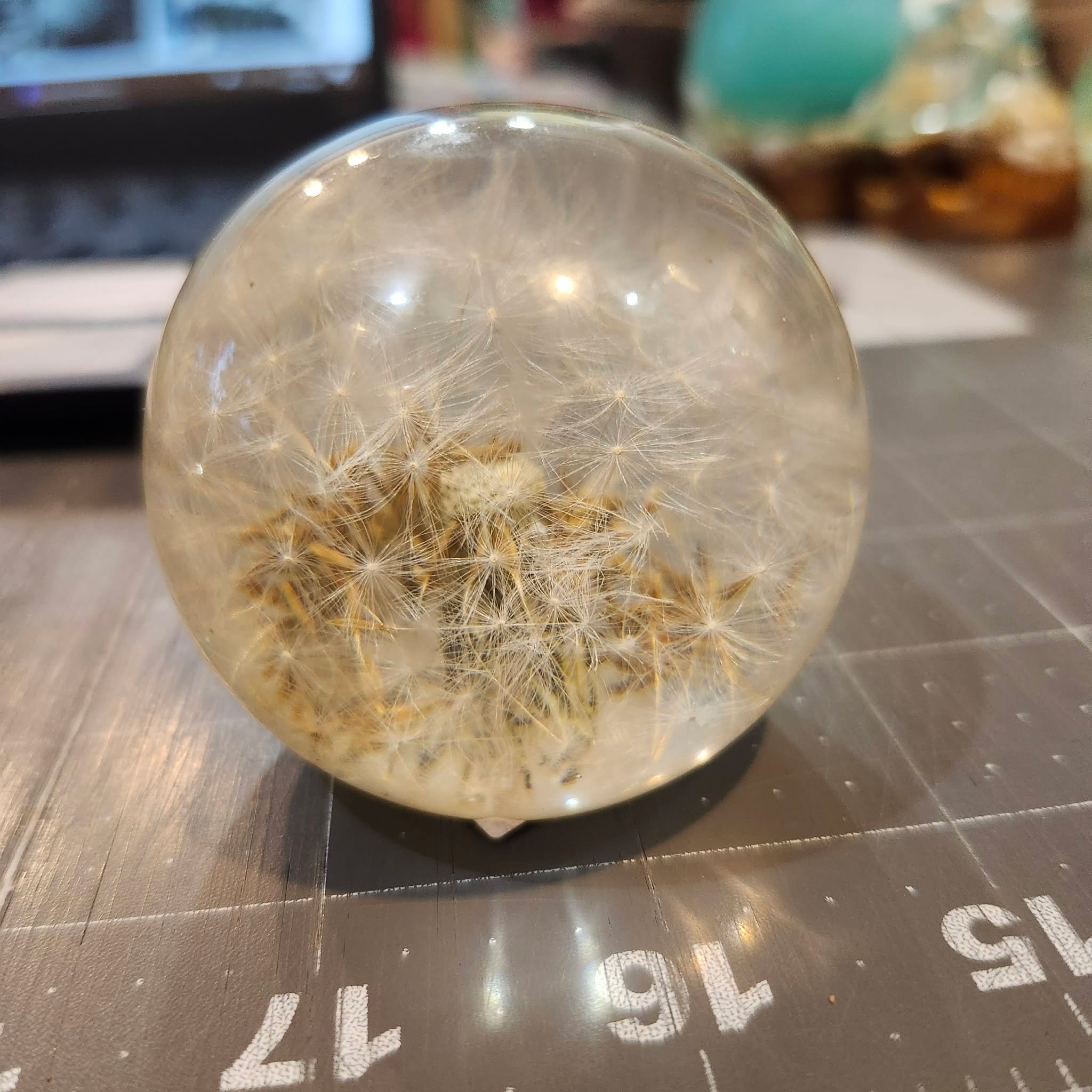 Dandelion Puffball by 3DRAWcreations