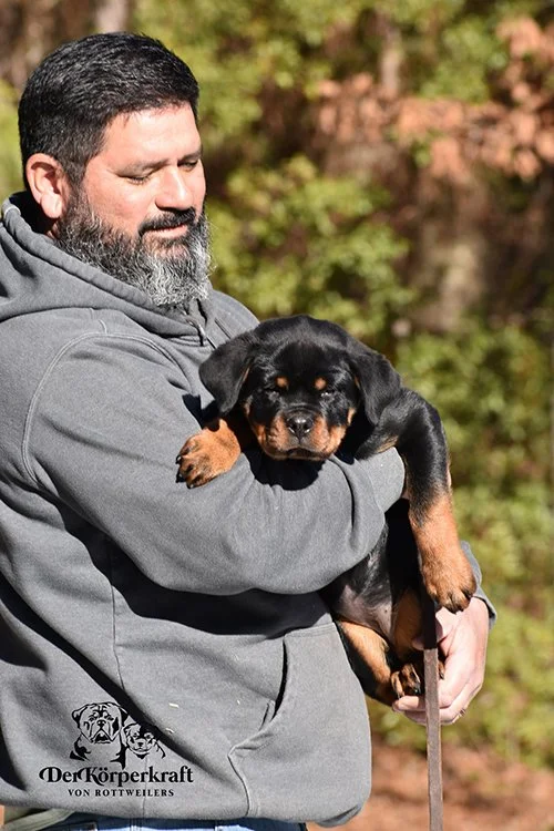 Nora Von Der Korperkraft - 12 wk (3)sm.jpg