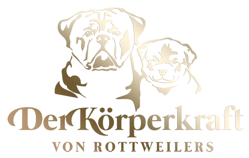DKV Rottweilers | Rottweilers For Sale