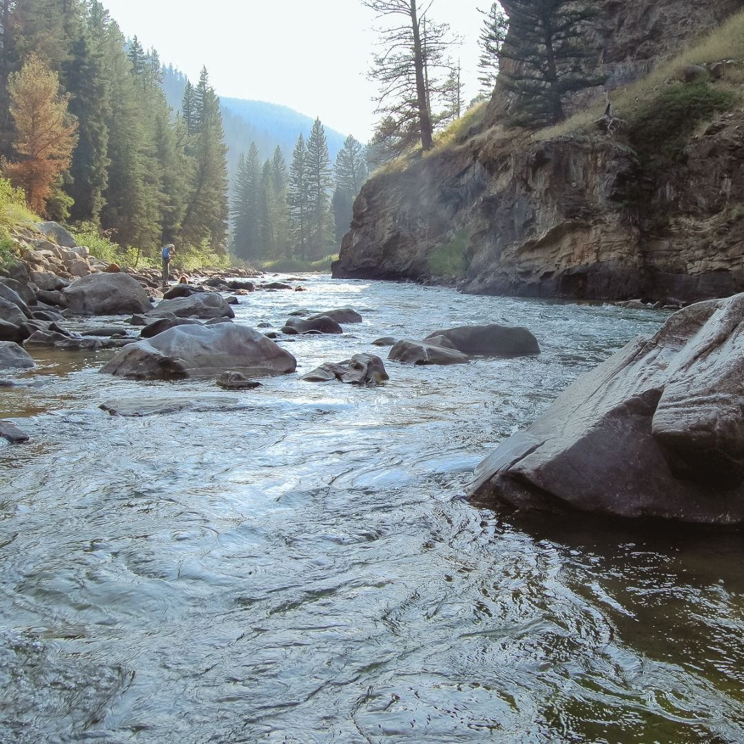 What Does A Water Dream Mean? Water Dream Interpretations & Tips for