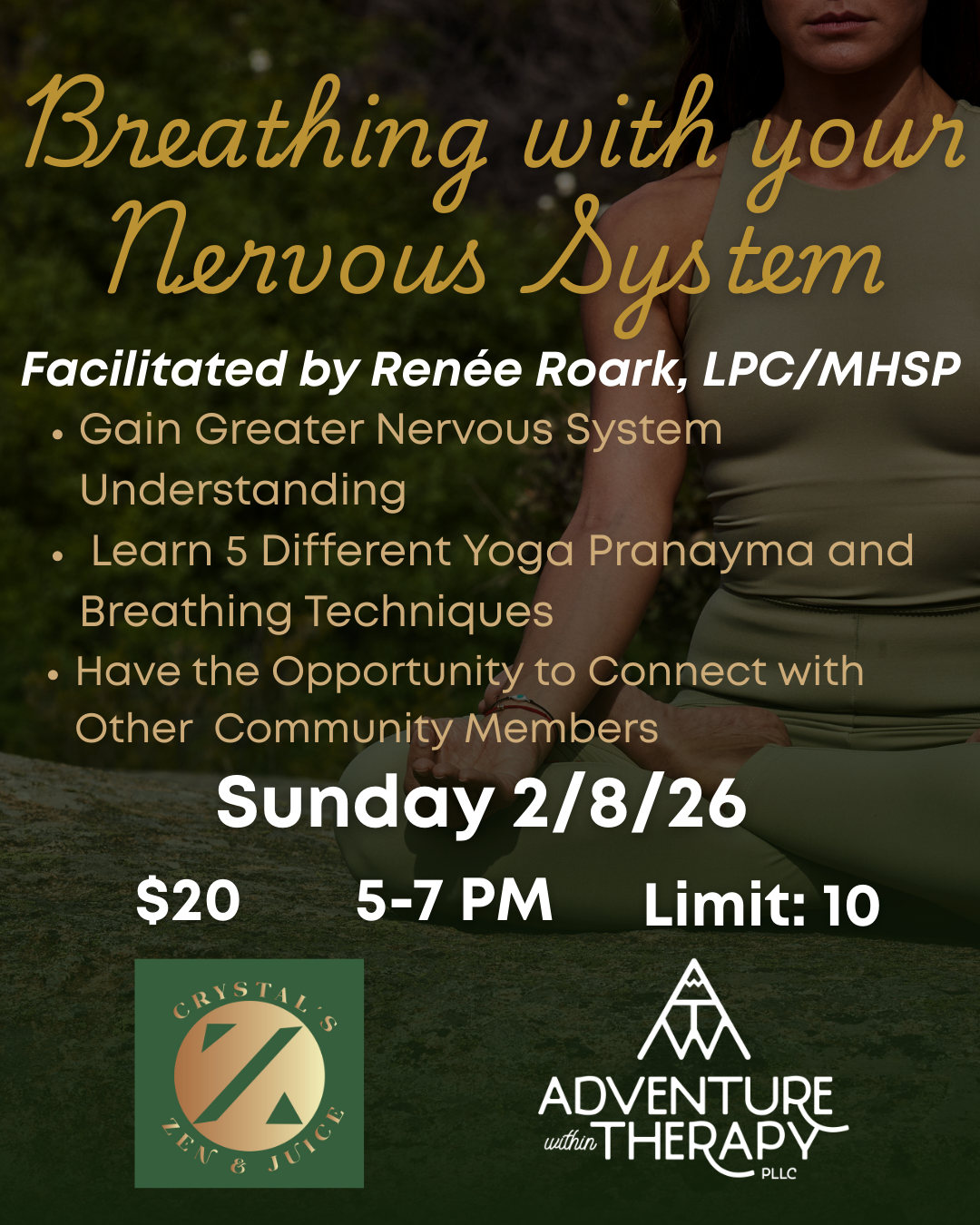 Breathing with your Nervous System Workshop