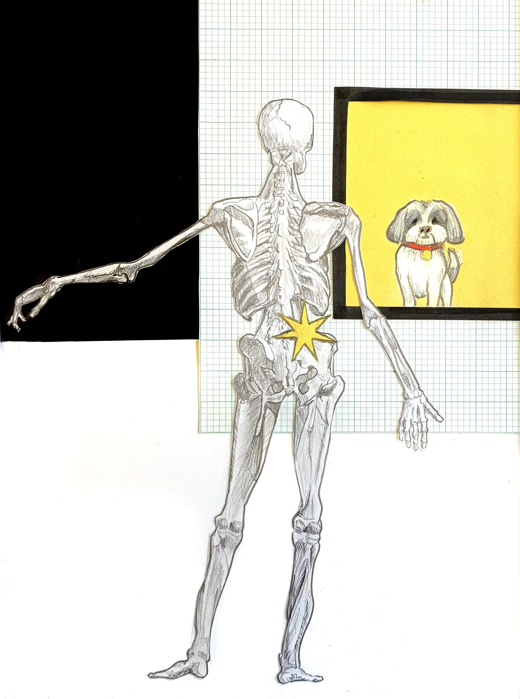 Graphite, Colored Pencil, and Paper