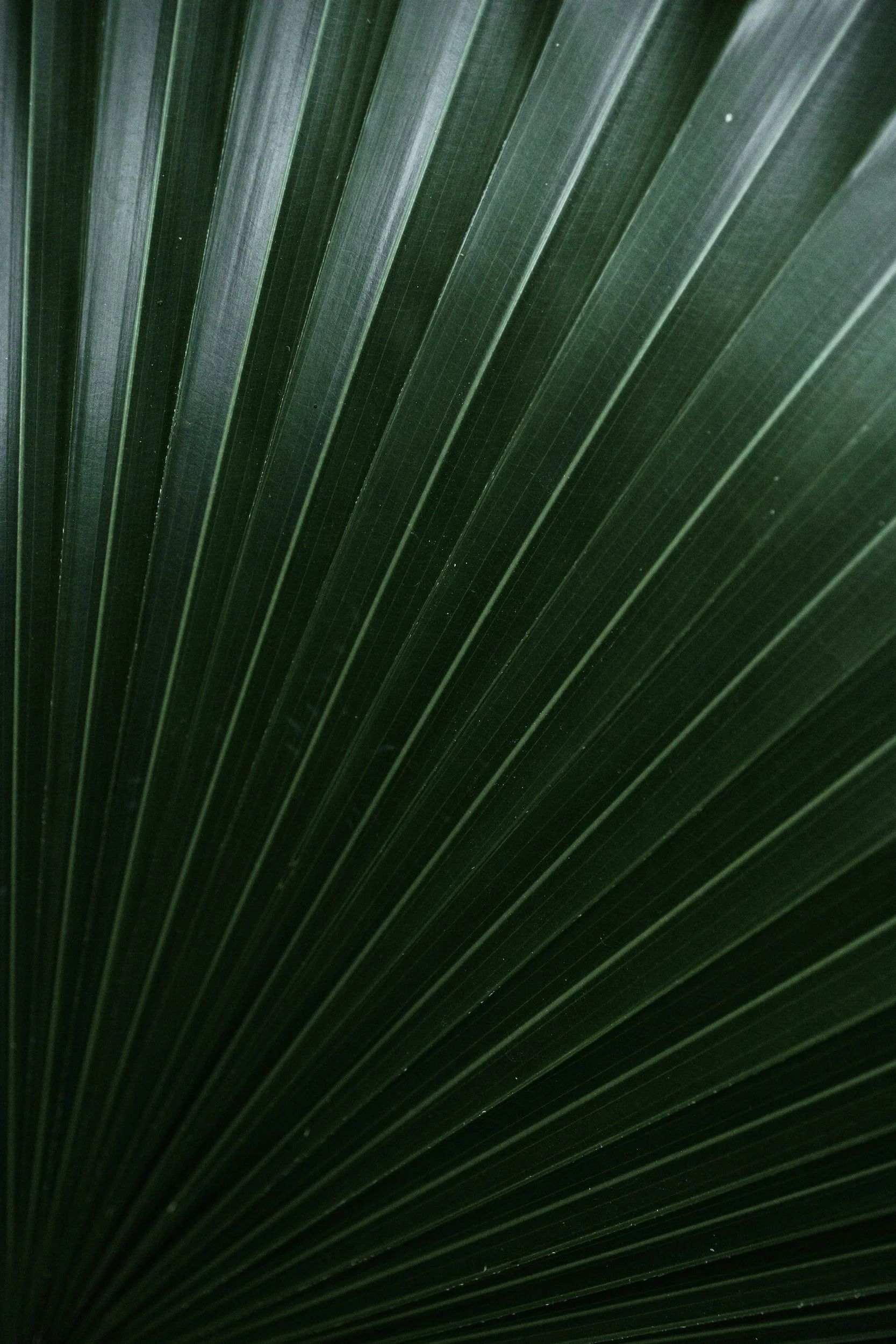 unsplash-image-YKqWxfaV4oE.jpg