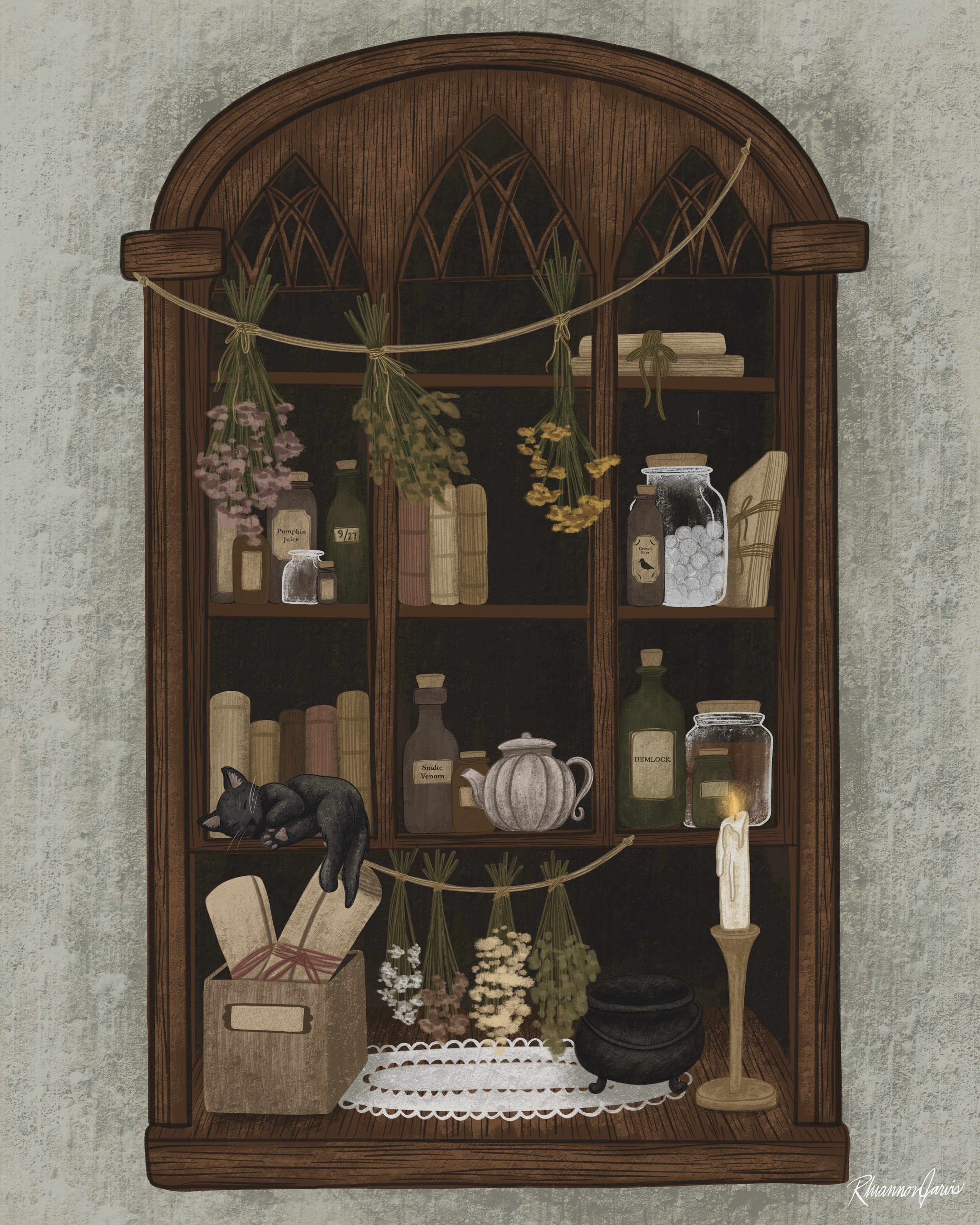 "Apothecary Shelf" - 8x10" Giclée Illustration Print