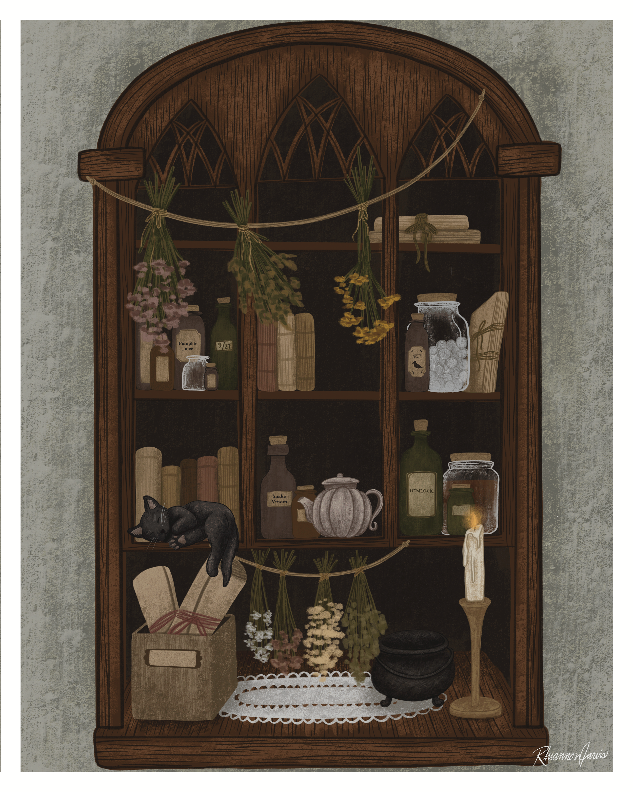 "Apothecary Shelf" 2025