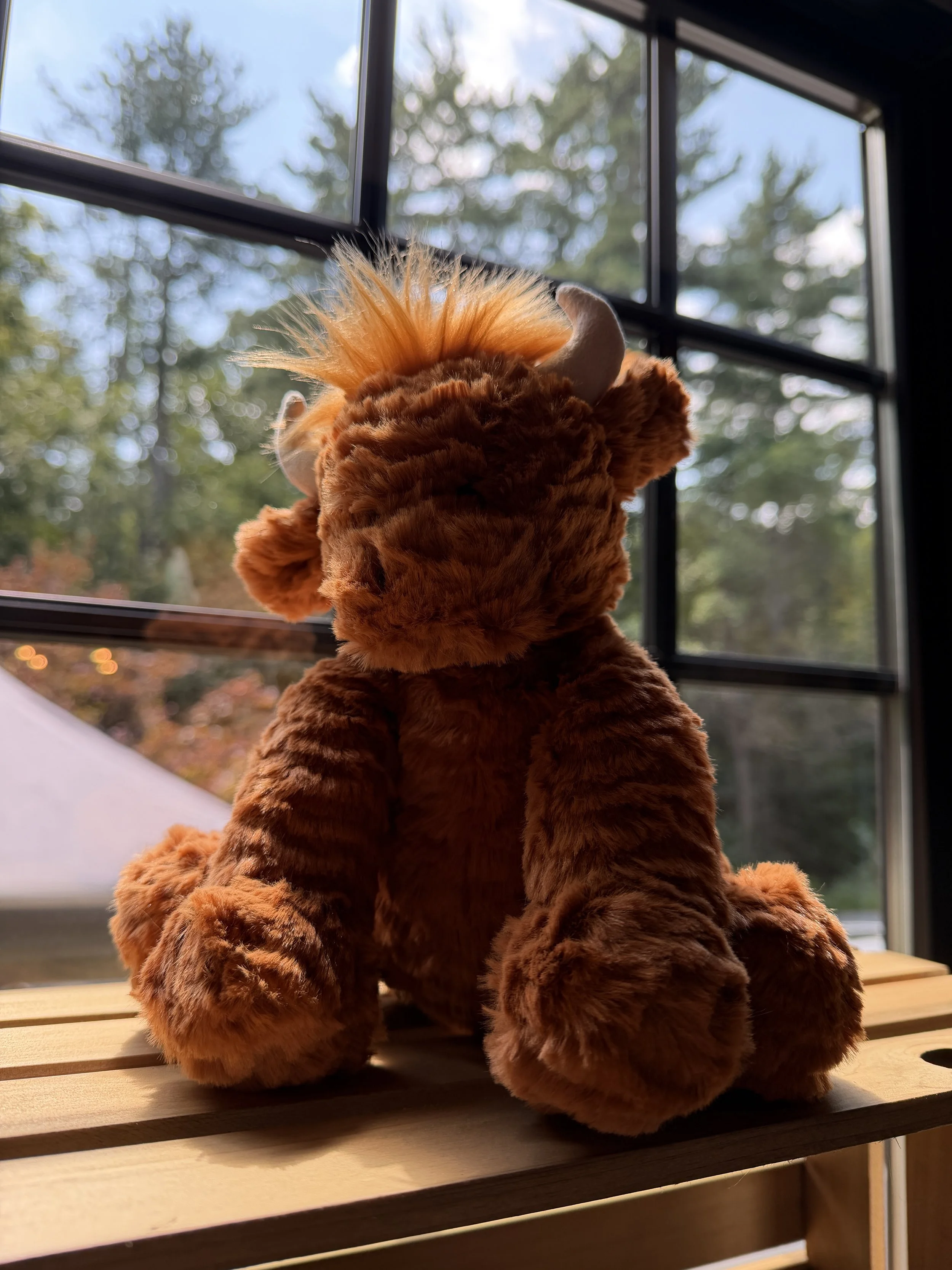 Fuddlewuddle Highland Cow Jellycat