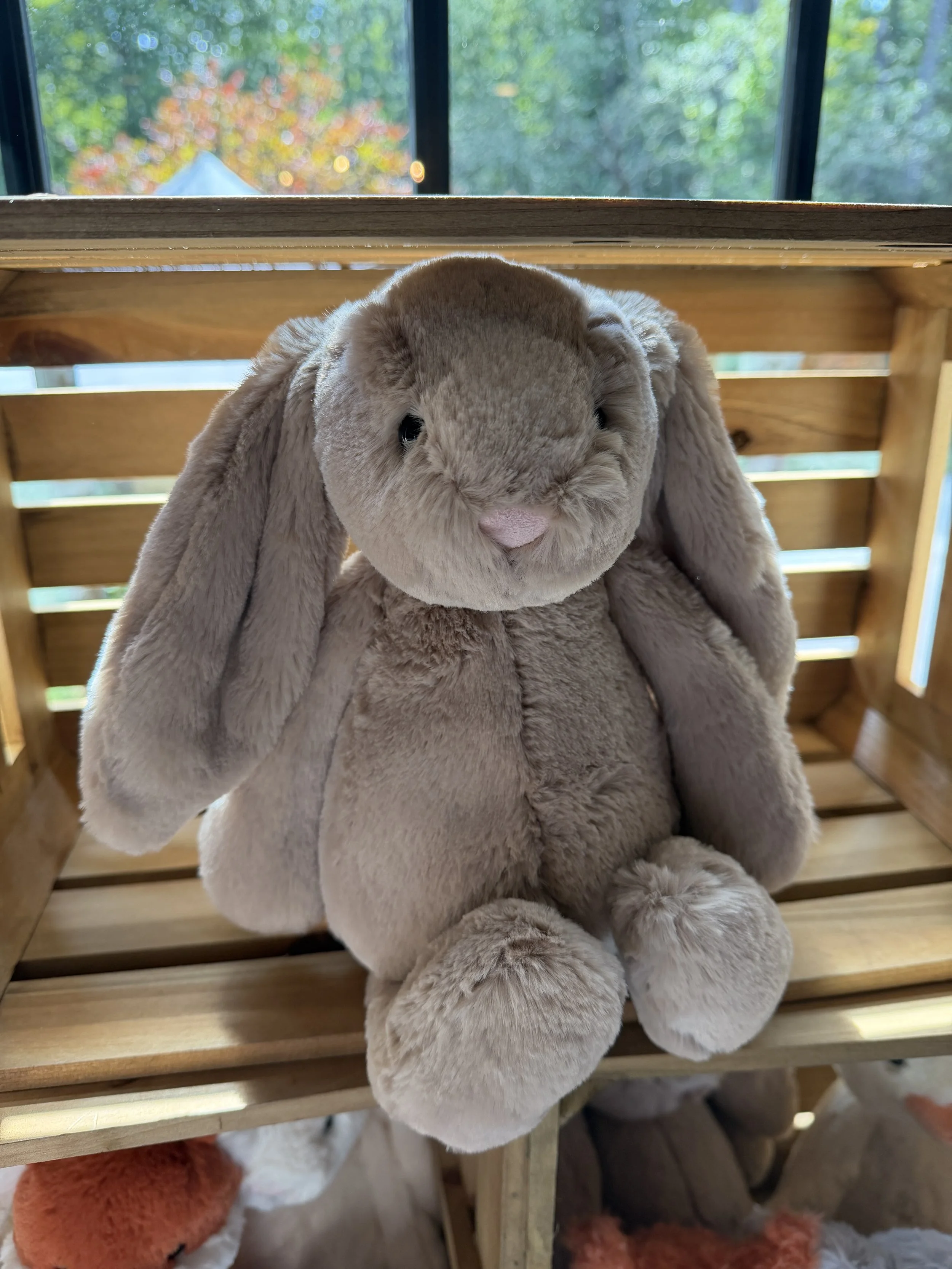 Bashful Bunny Jellycat