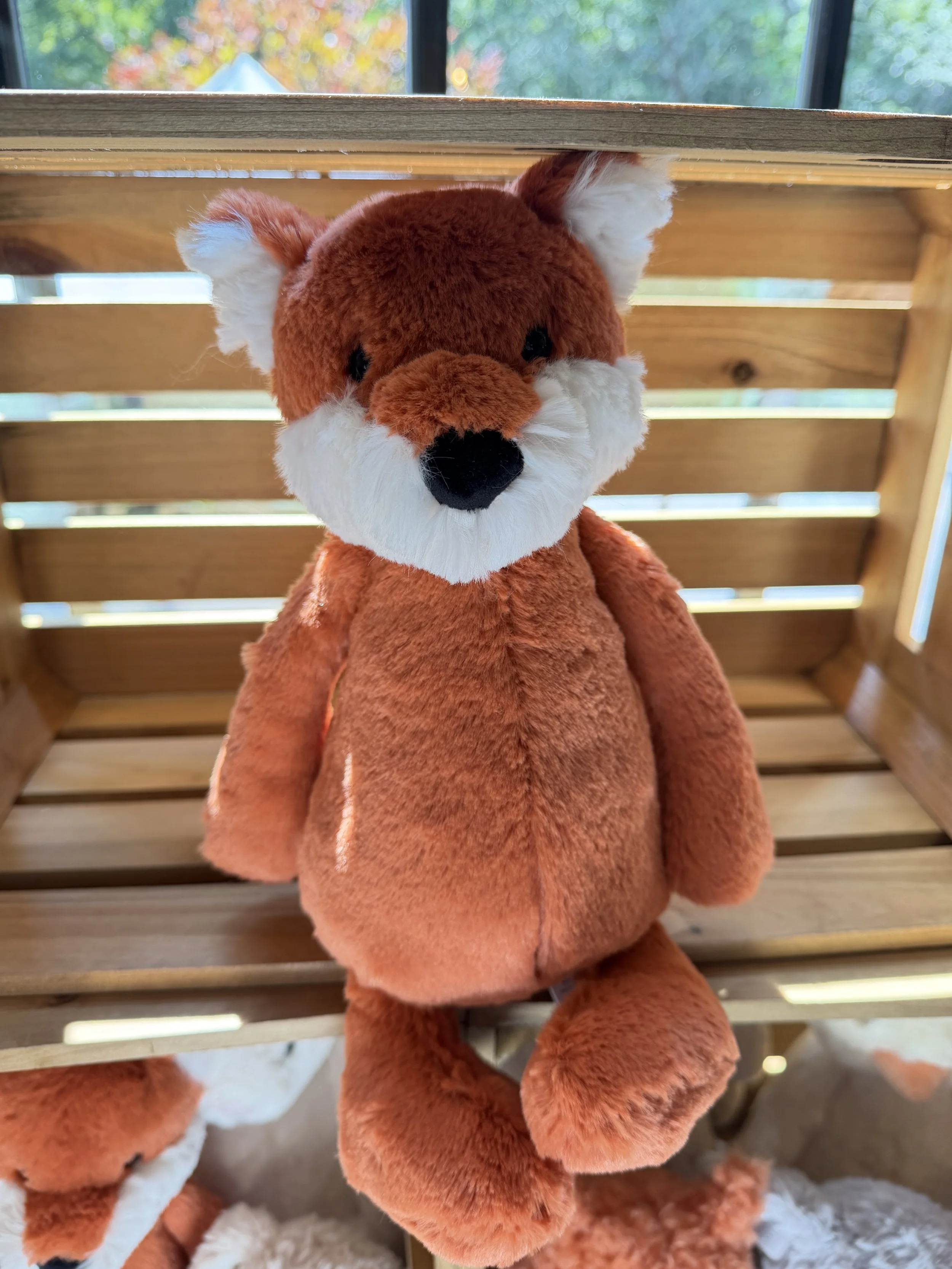 Bashful Fox Cub Jellycat