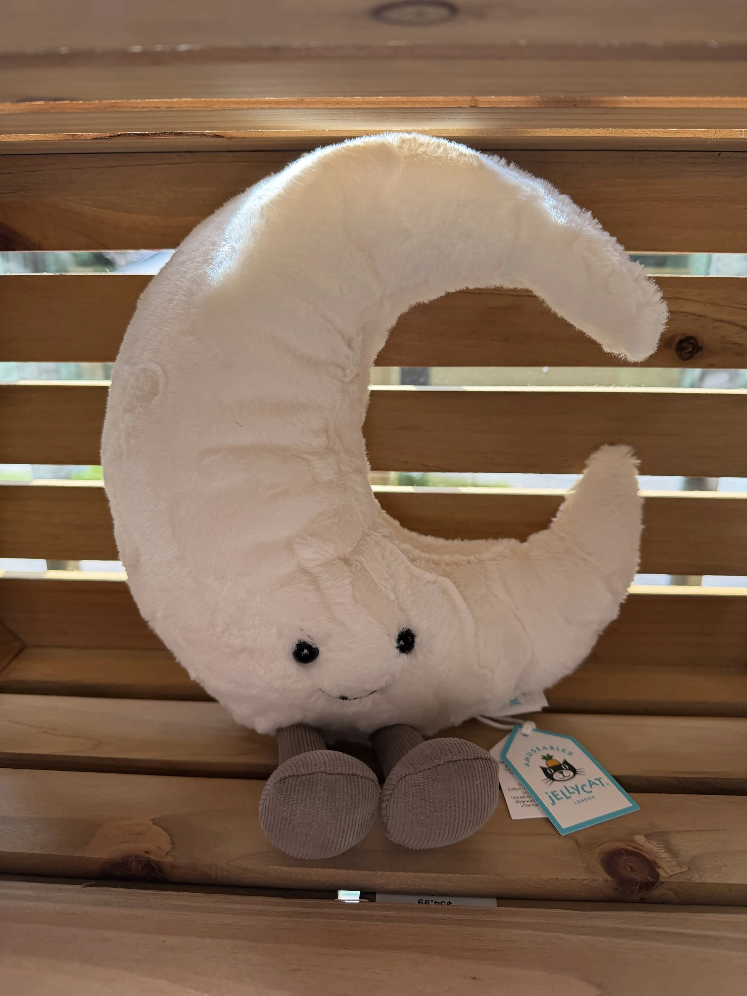 Amuseables Moon Jellycat