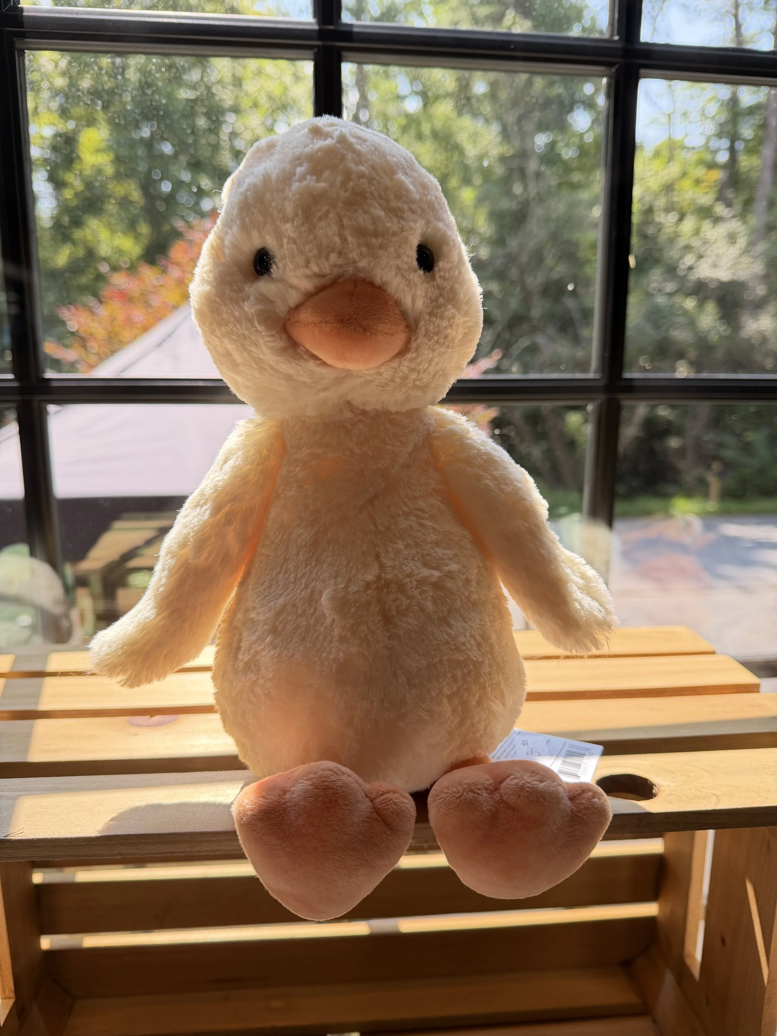 Bashful Duckling Jellycat