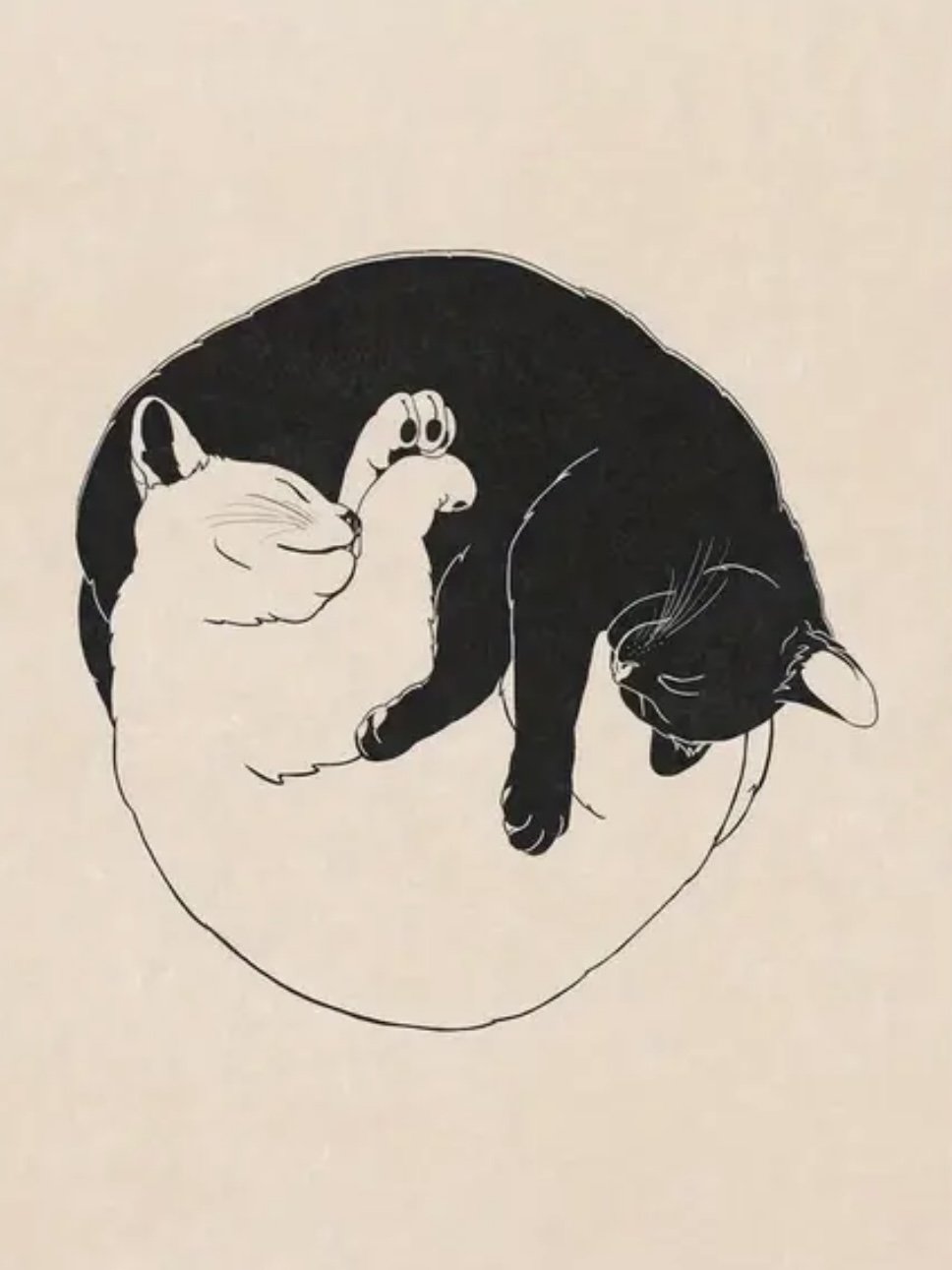 9B3576E2-8B09-4B38-A0AC-16FAF5565DB3.jpeg