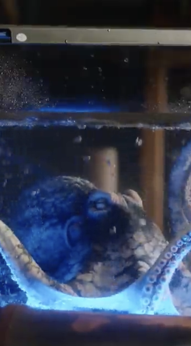 Nathan Fillion + Alan Tudyk = 