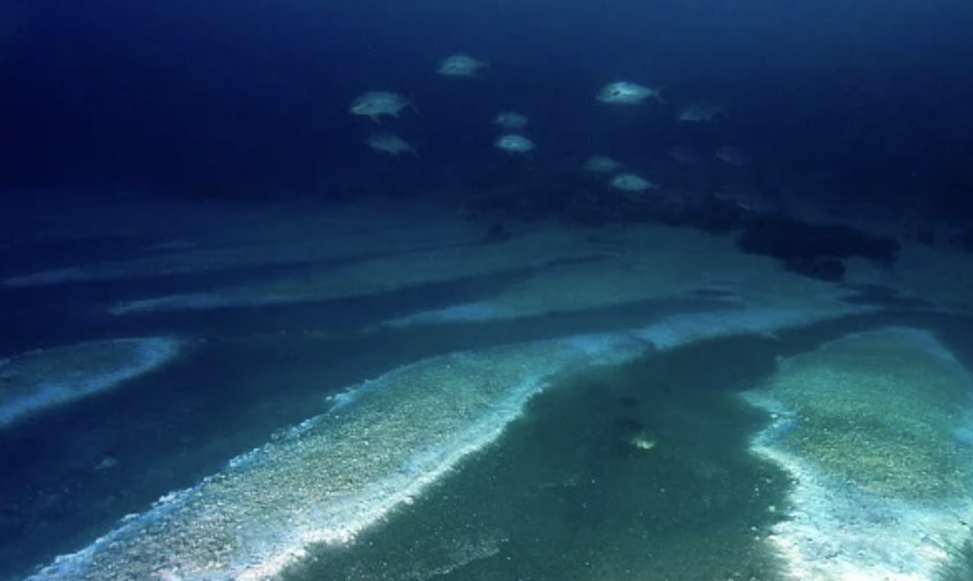 Screen Shot 2023-04-18 at 4.46.50 PM.png