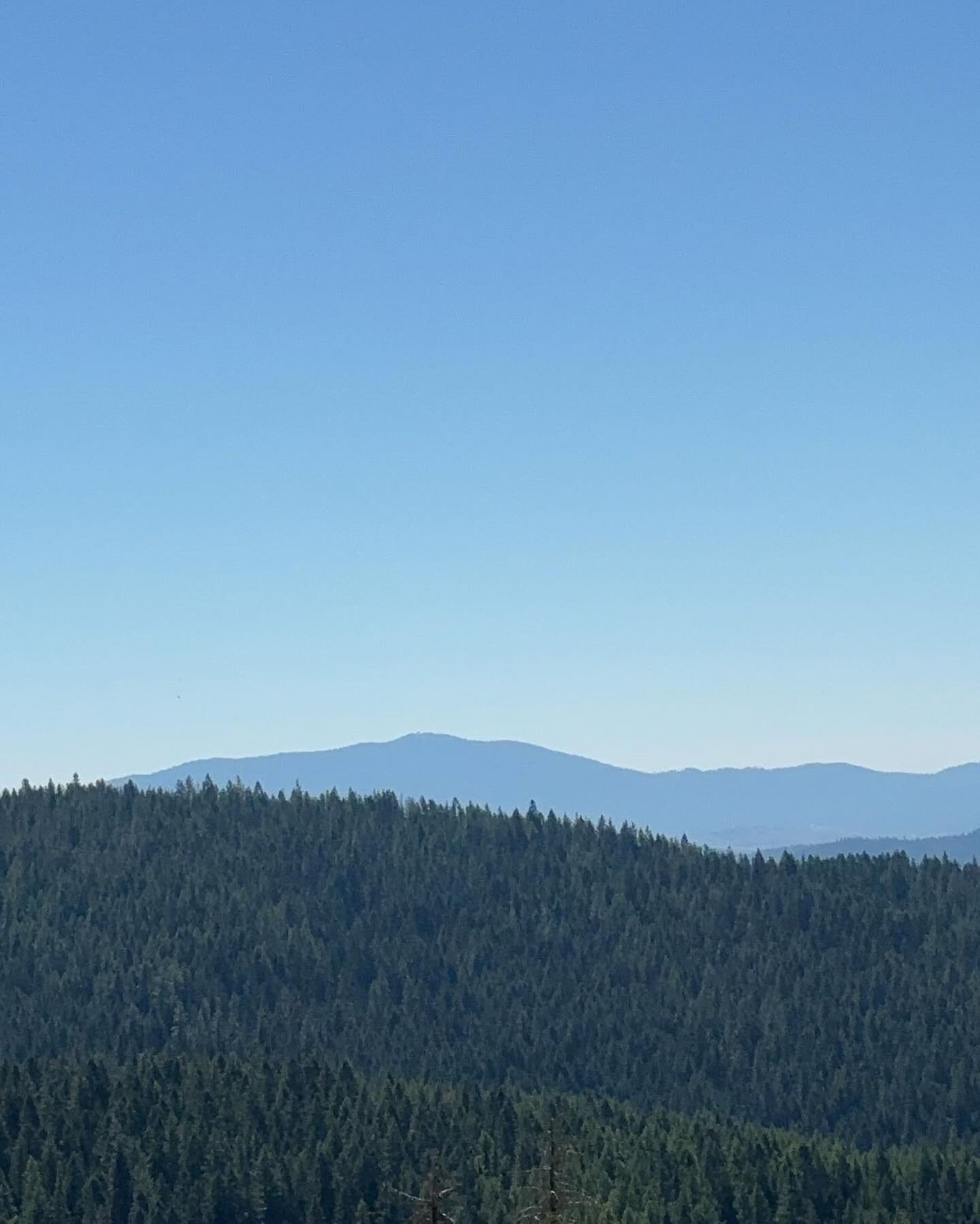 &ldquo;Mommy, I needed this today.&rdquo; Me too bug, me too. ❤️ 

Fresh mountain air. Trees. Hiking. Huckleberry picking. Foraging. Picnicking. Cold mountain water. Walking barefoot thru the cold water and dirt. 

Nature heals. 🌿

#mountians #mount