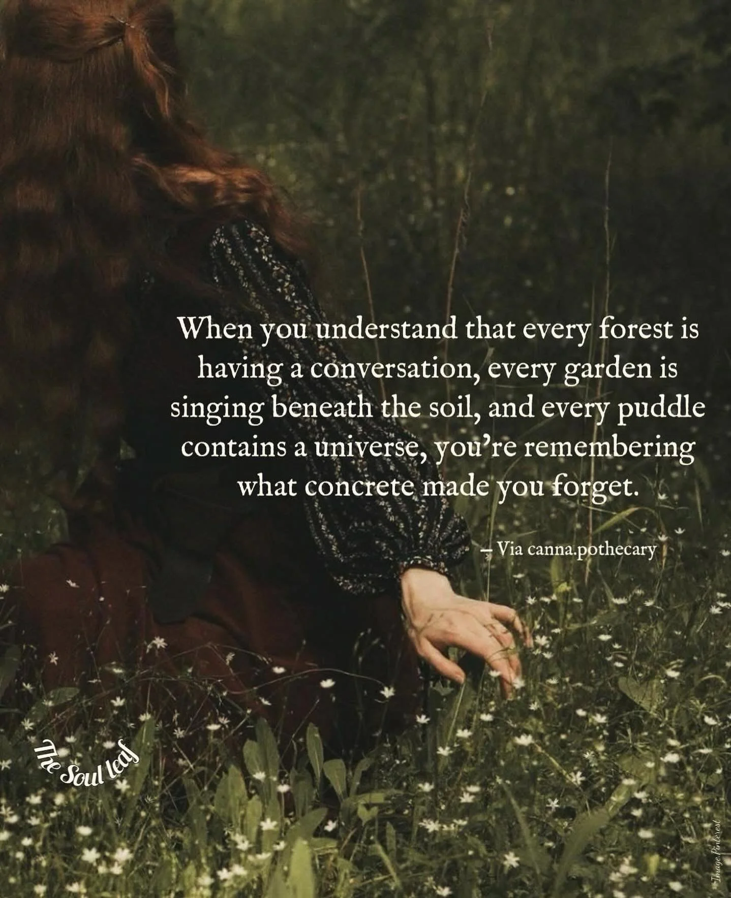 Everything is connected. Everything. 

#connection #nature #returntonature #soil #savesoil #garden #universe #universalconsciousness #conciousness #remember #fyp