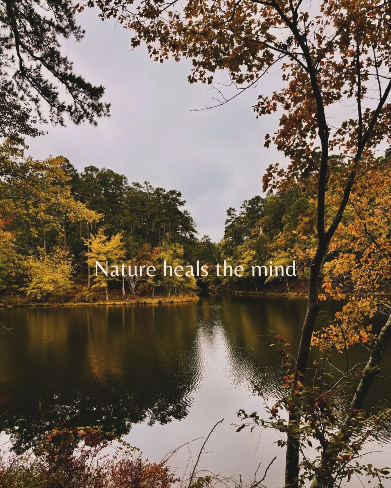 🌿Nature is always the best medicine.

#nature #medicine #heal #ground #hotspringsarkansas