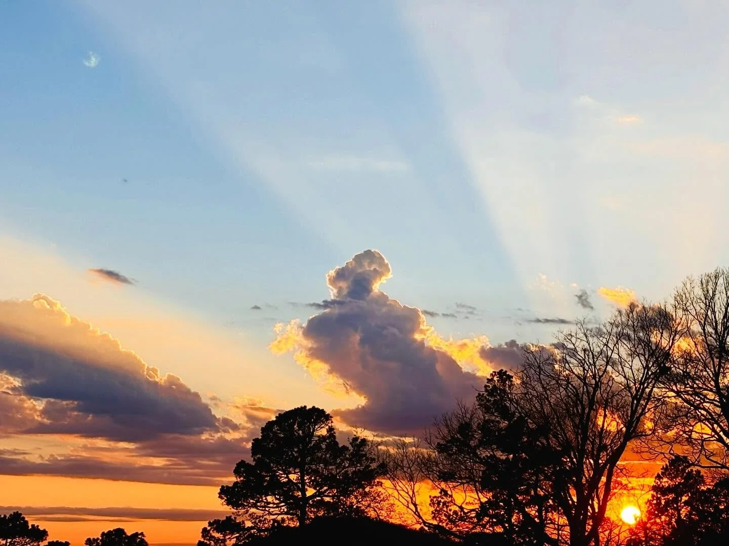 Sometimes the medicine isn&rsquo;t always in a jar, tincture, or tea. 🌿

Sometimes it looks like stepping outside.
Sun on your skin.
Bare feet on the earth.
Fresh air in your lungs.
A quiet moment to remember that your body was made to be in relatio