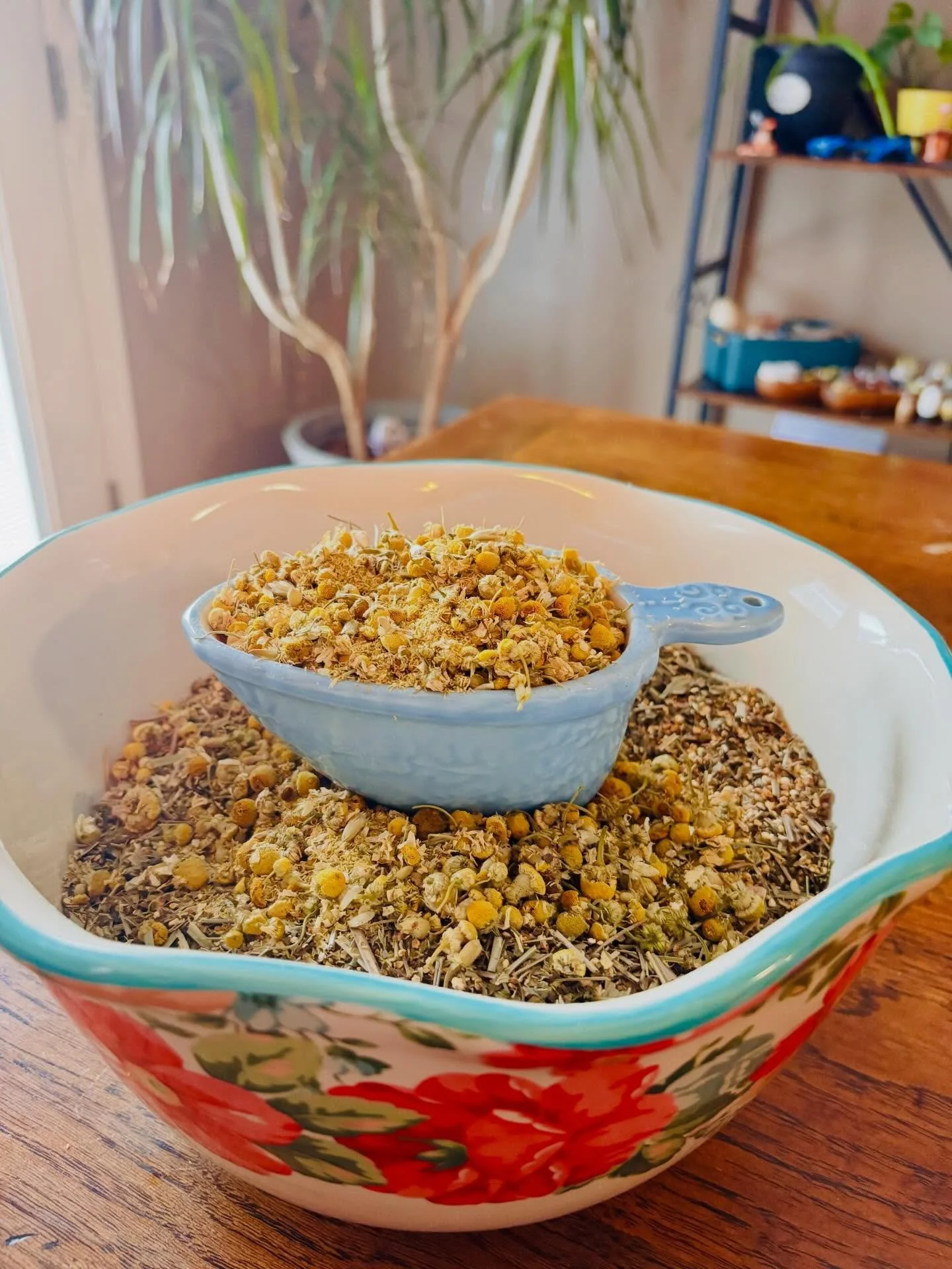 Back from the pause and back in creation mode. 🌿

Fresh herbs, new ideas, and new products are in the works over here at The Wild Bodhi | Bodhi WellVeda.
Stay close &mdash; some beautiful things are coming soon. 🖤✨

#thewildbodhi #bodhiwellveda #he