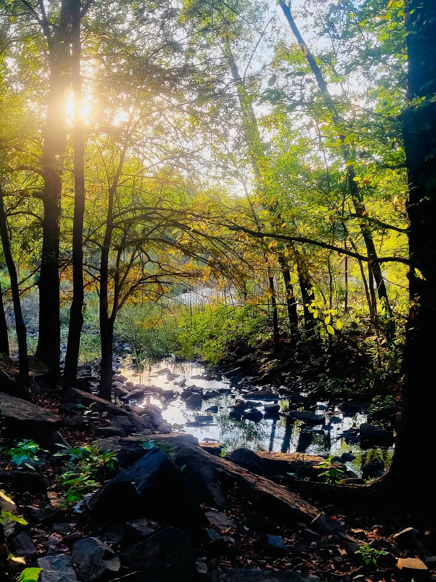 A little reminder to ground. 🌿

Step outside if you can.
Let the sun touch your skin.
Take a breath that reaches all the way down.
Come back to the earth. Come back to your body. Come back to yourself.

Sometimes the simplest things still carry medi