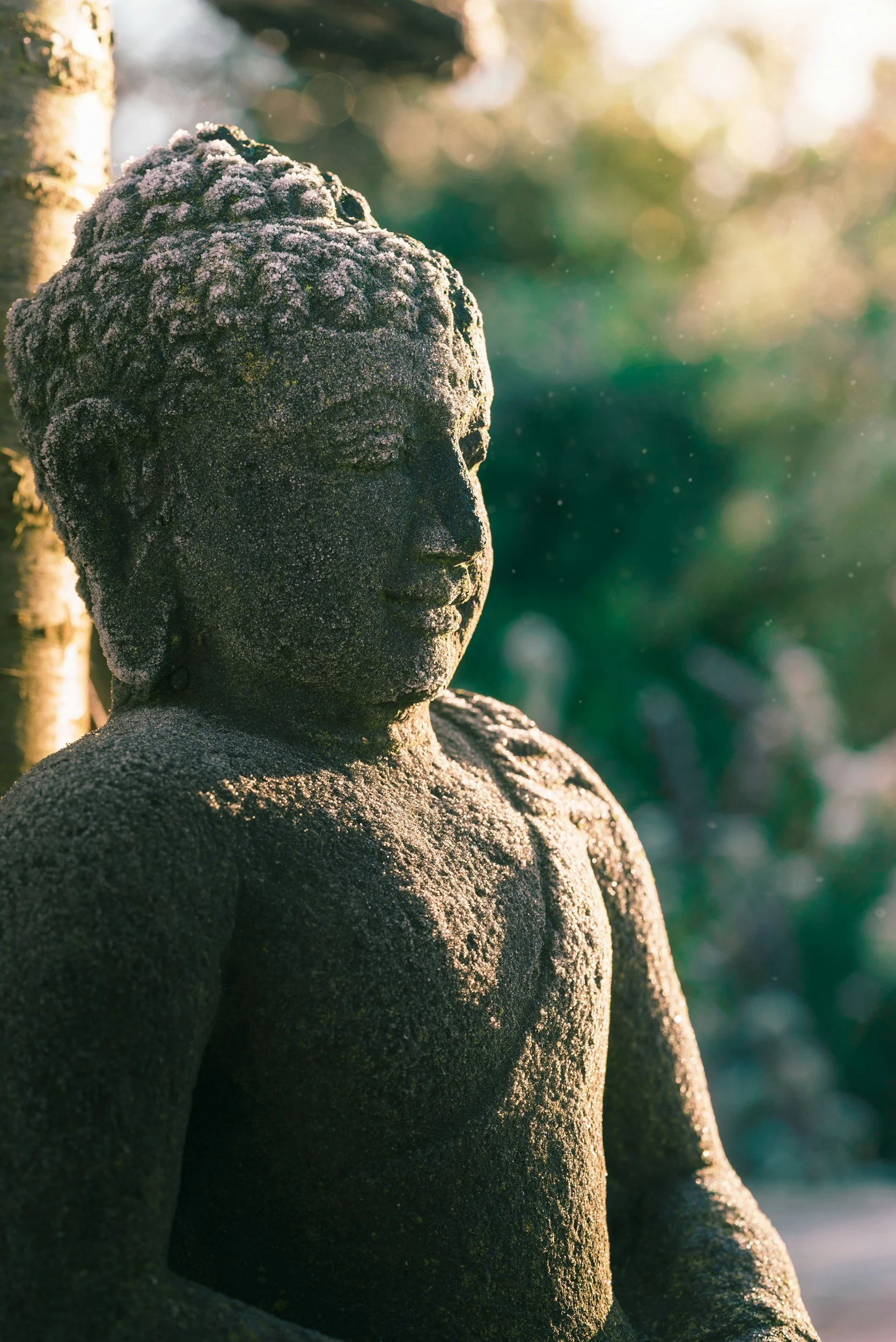 A close-up photograph of a weathered stone Buddha head statue with frosty patches on its surface, set against a blurred, sunlit natural background.