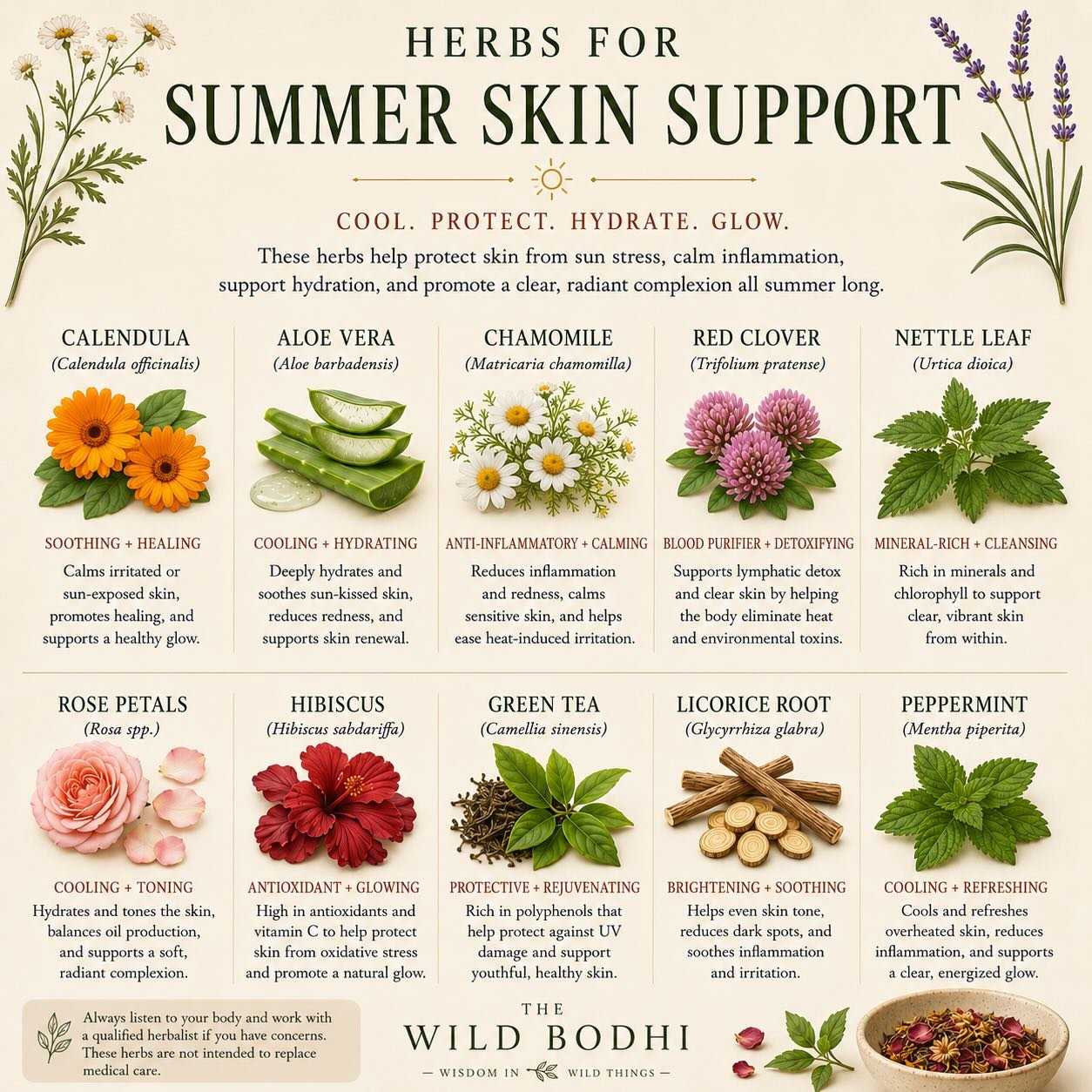 Summer can be beautiful for the spirit and a little loud on the skin. ☀️🌿

Heat, sun, dryness, sweat, irritation, and too much time outdoors can leave the skin feeling tender, reactive, and depleted. These herbal allies are some of my favorite plant