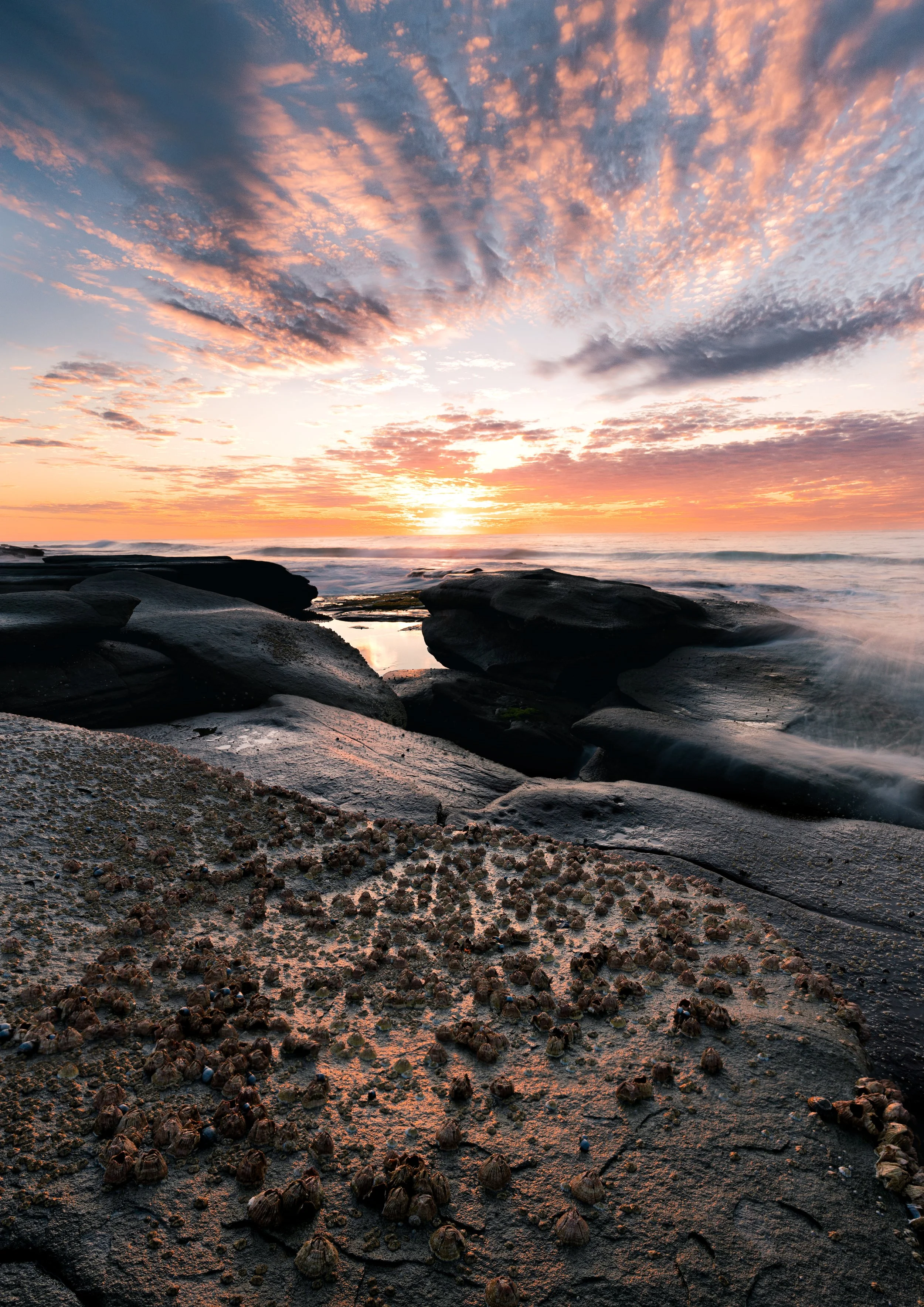 sunrise-2-a1.jpg
