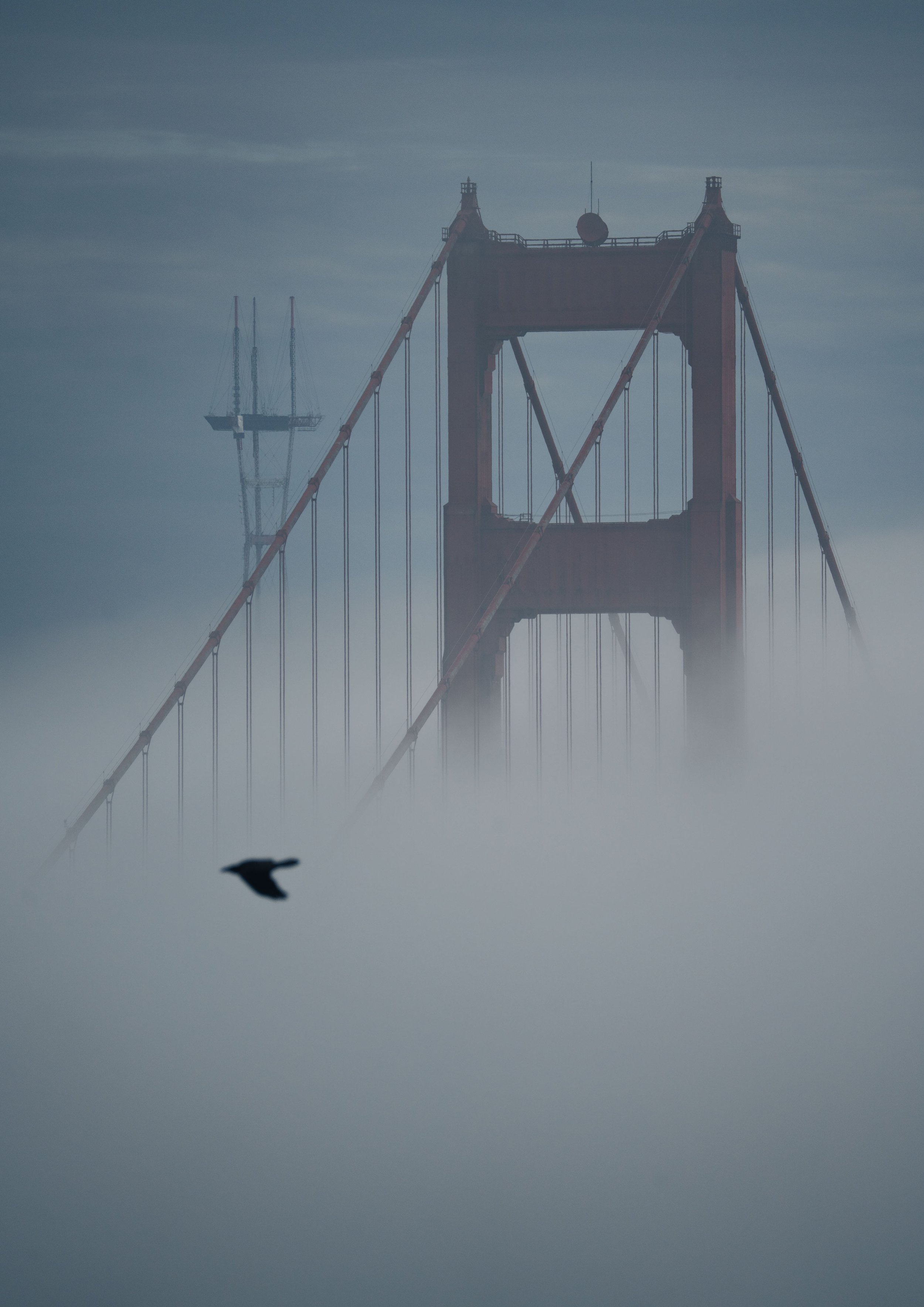 misty-bridge-bird-A1.jpg