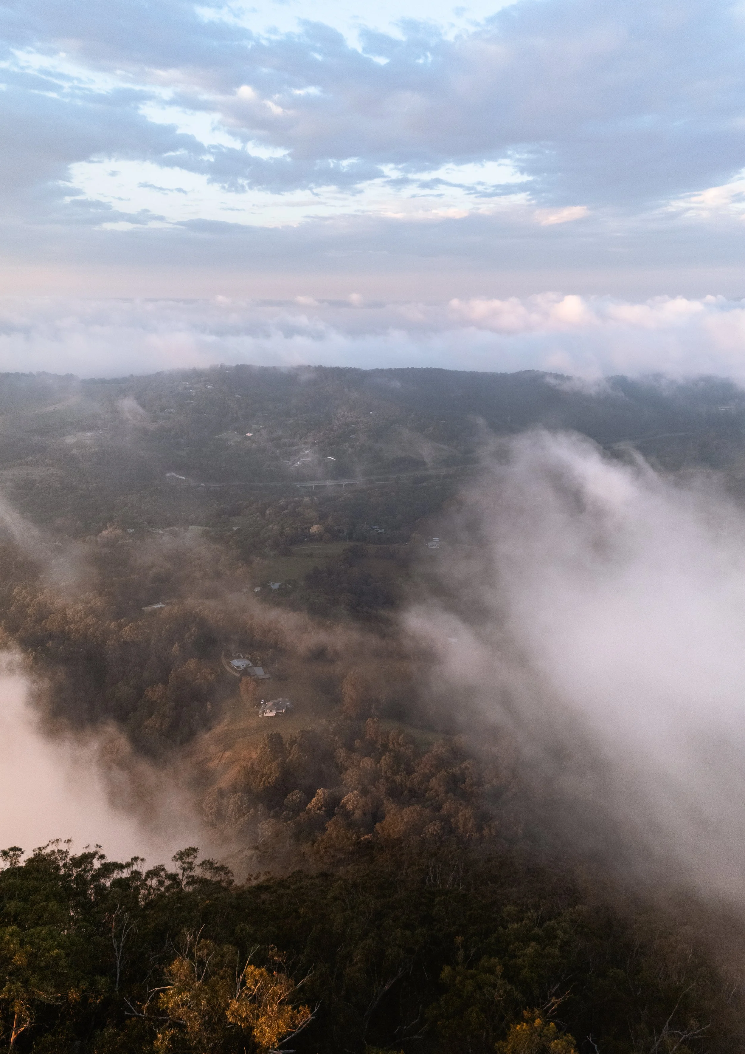 Gilded Dawn | Mount Cooroora