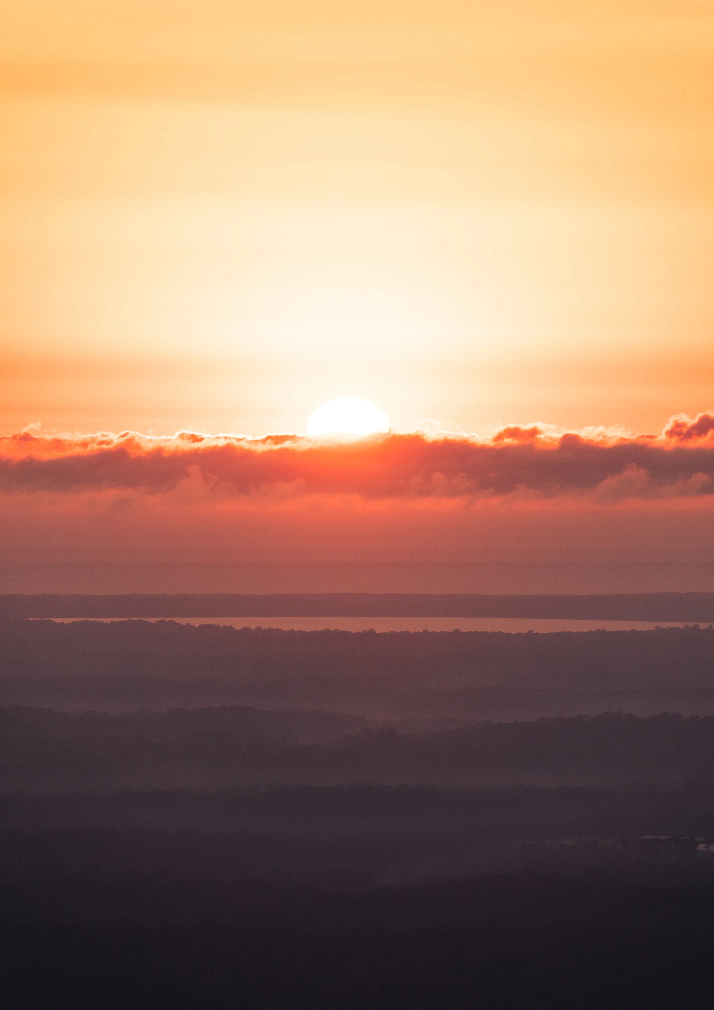 Ambered Layers | Mount Cooroora
