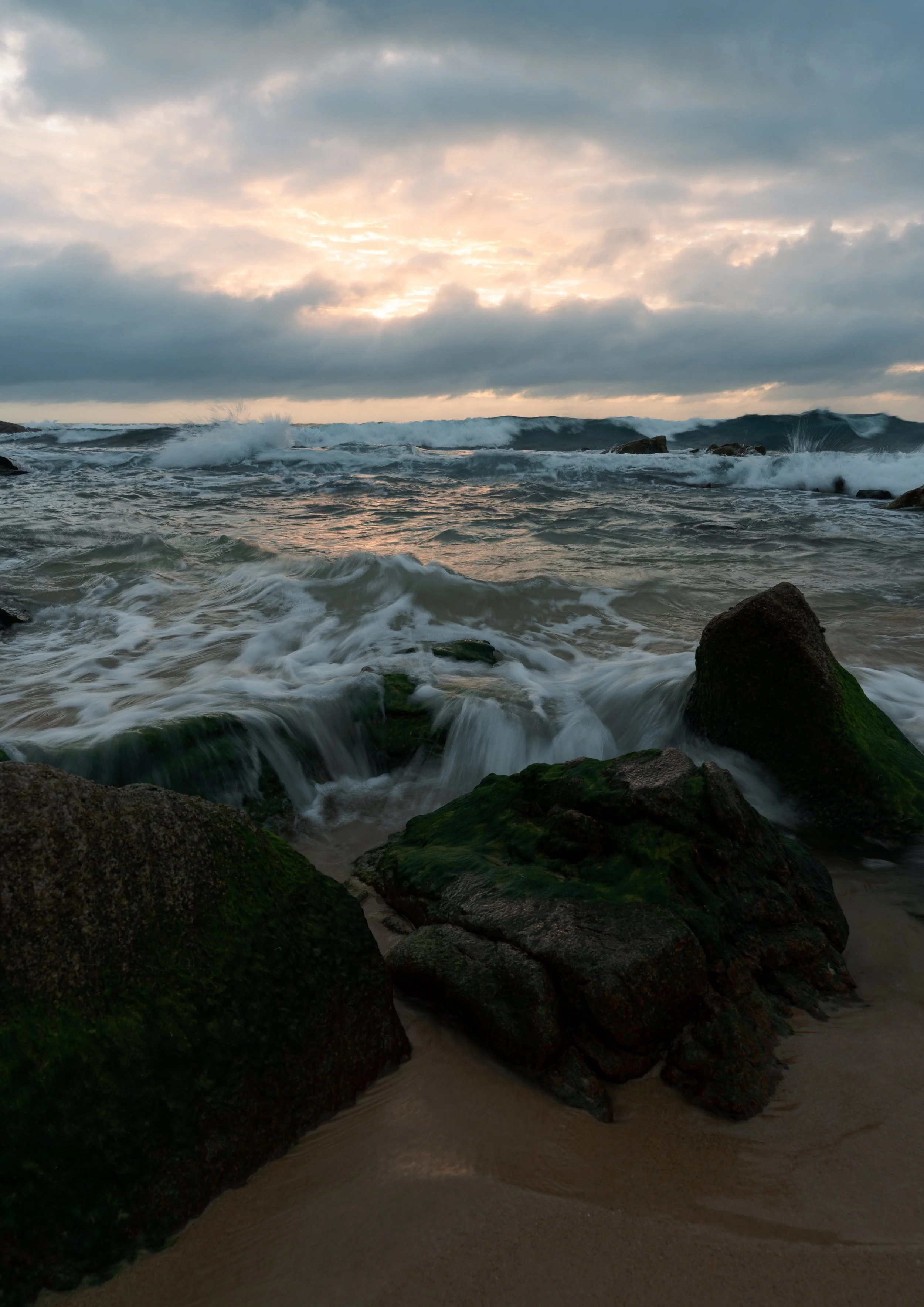 Mossy Tide | Point Arkwright