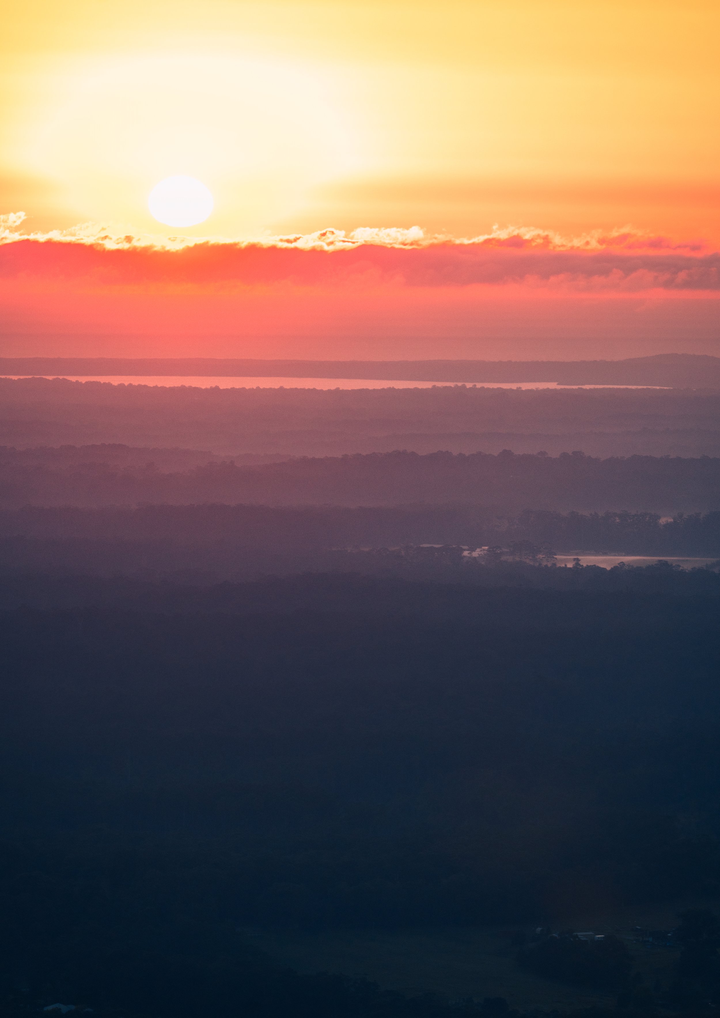 Violet Amber | Mount Cooroora