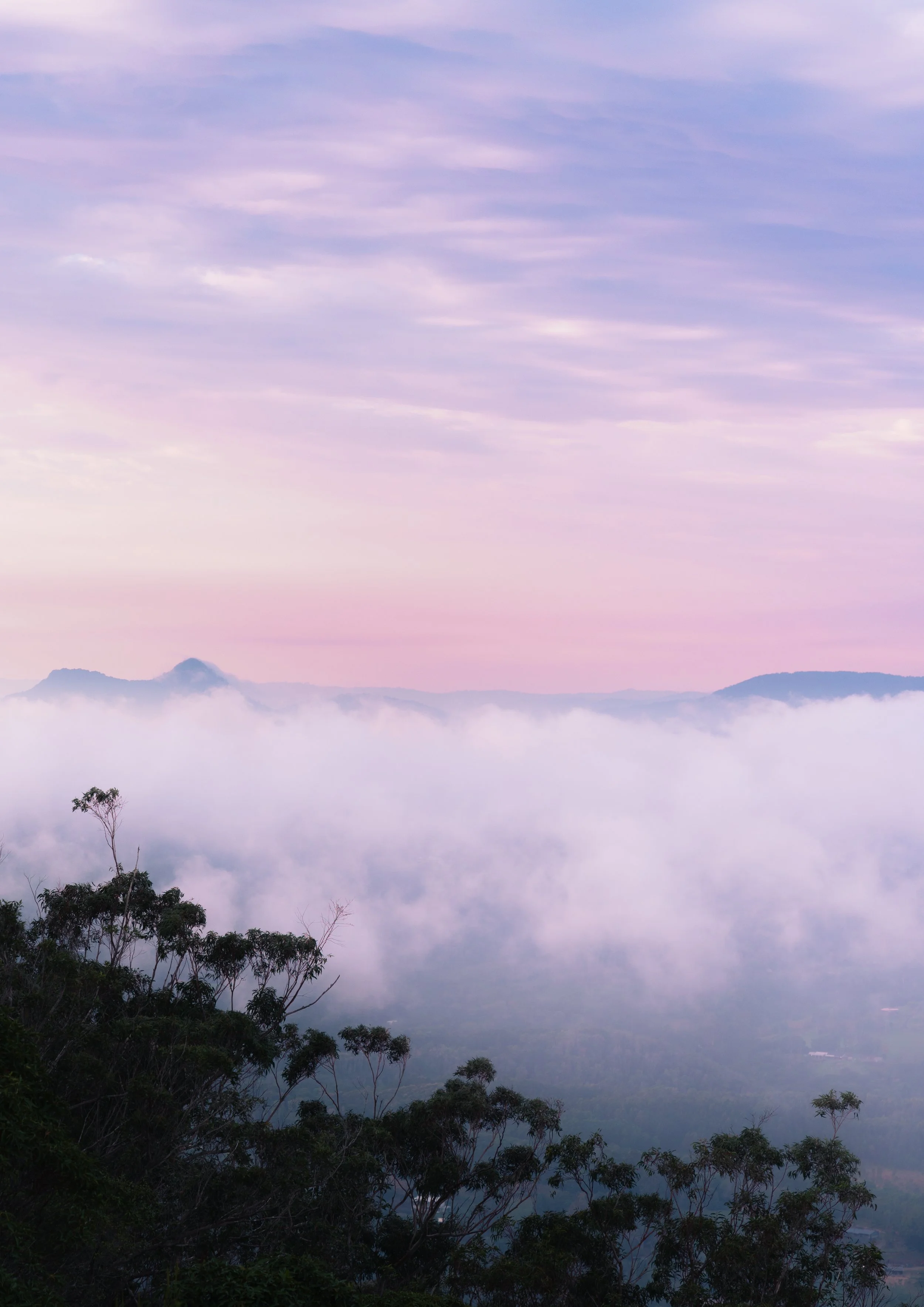 Violet Dawn | Mount Cooroora