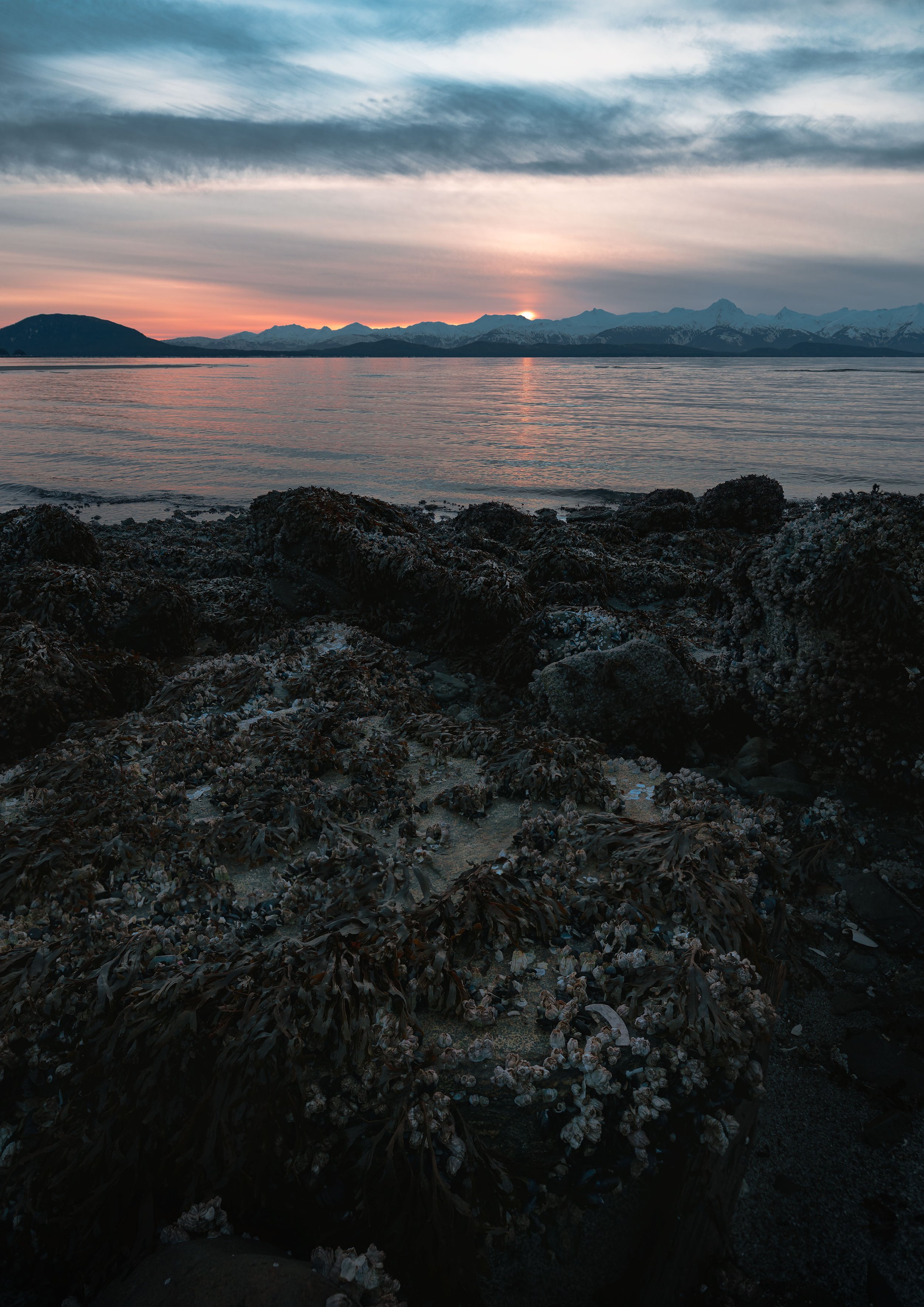 Alaska-1-beach-a3.jpg