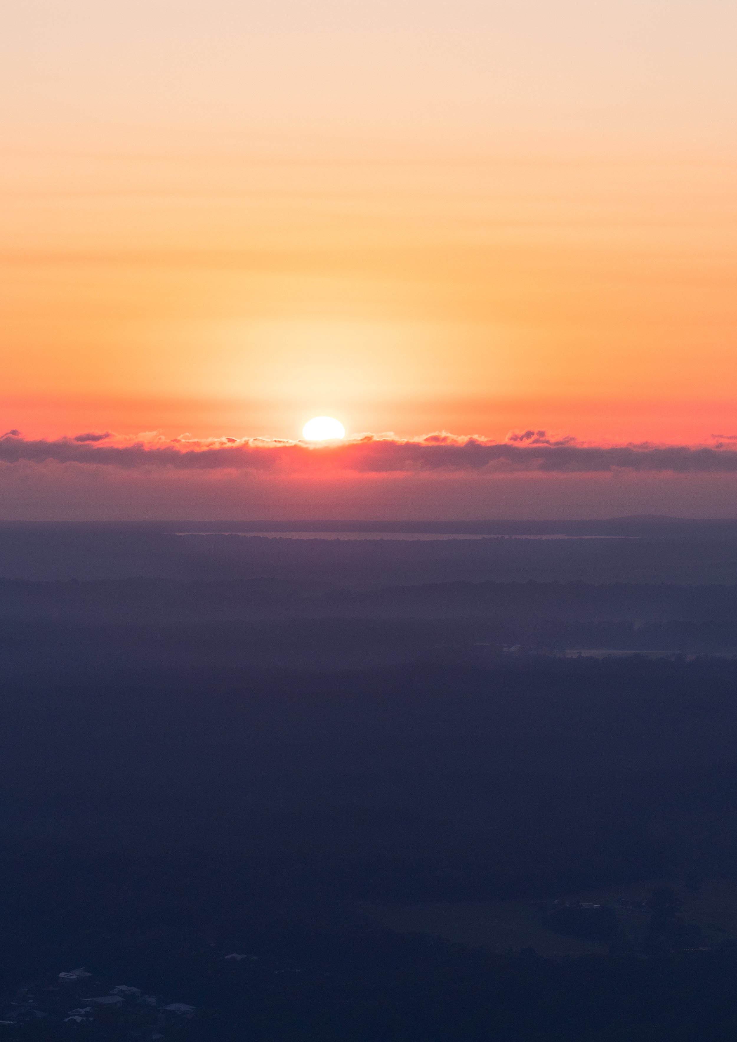 Violet Gold | Mount Cooroora
