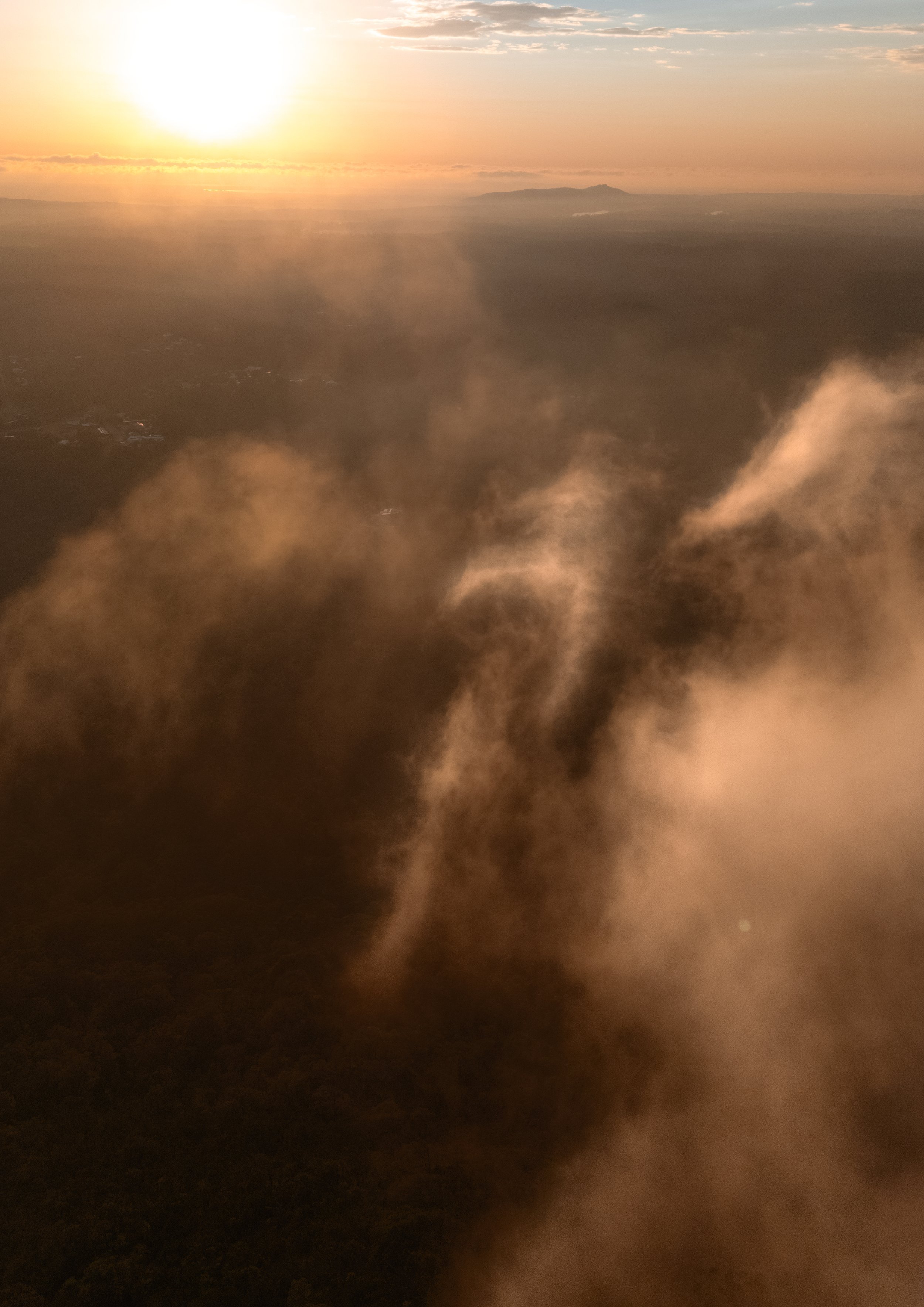 Misty Sovereign | Mount Cooroora