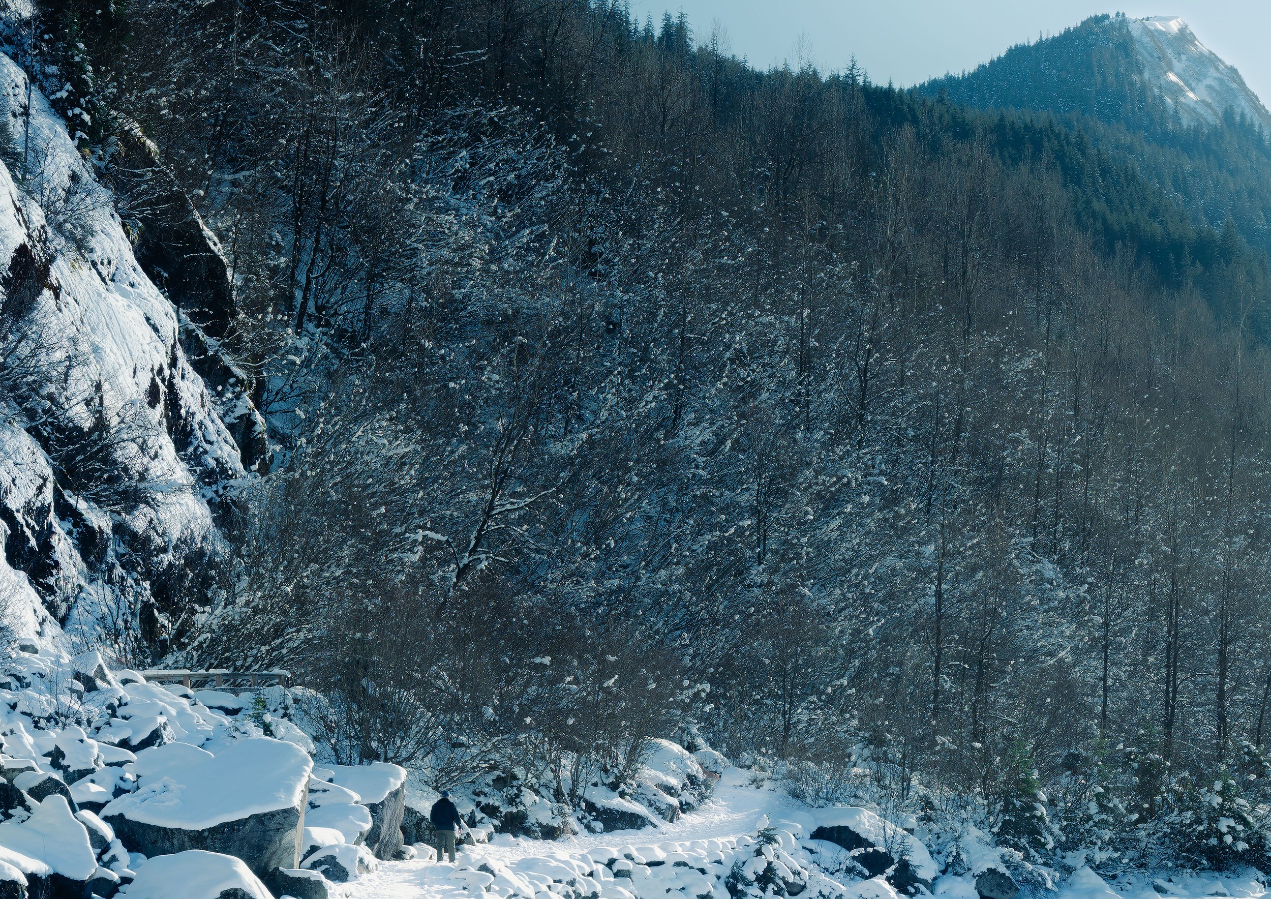 Alaska-1-path-a3.jpg