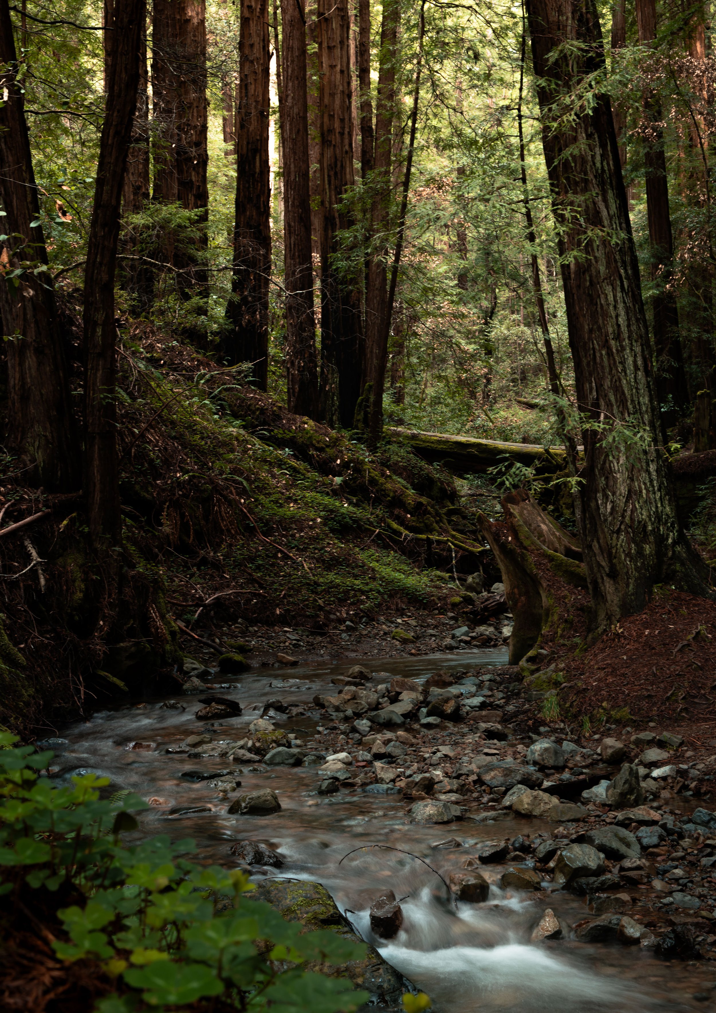 river-A1.jpg