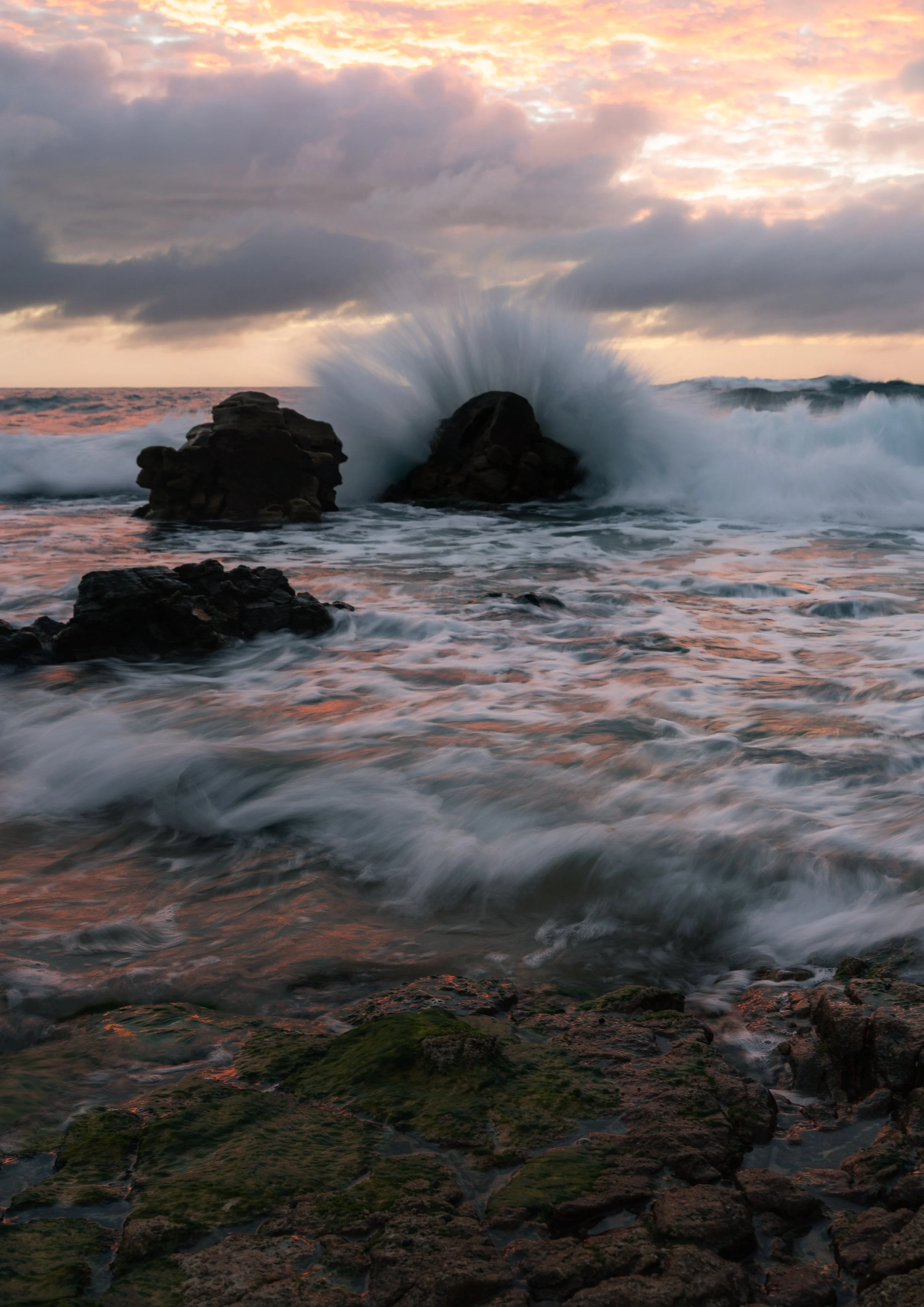 Amber Tide | Point Arkwright