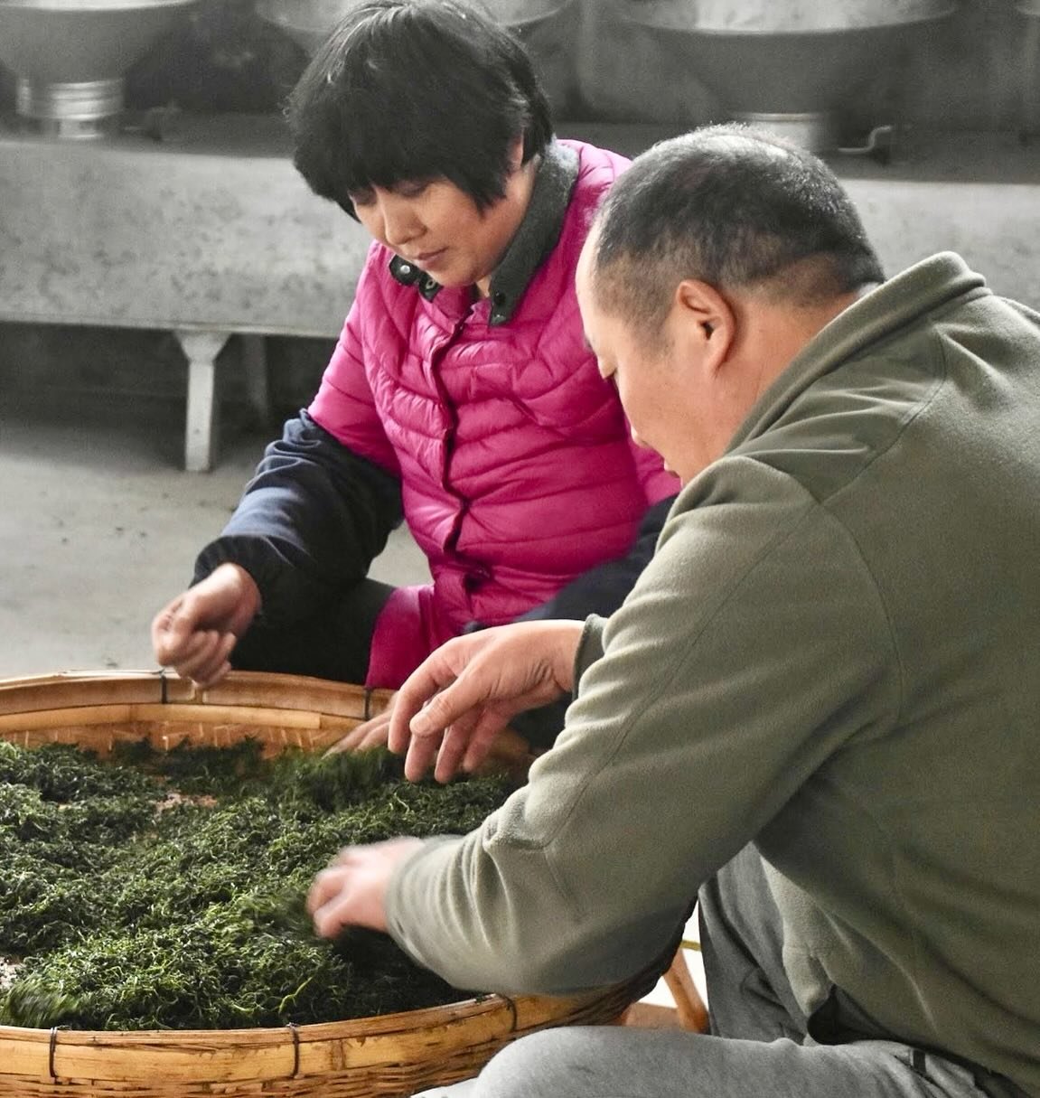 Meet some of our partners in China. We work with small family farmers who hand harvest their tea. This is Mr He and his wife tending to their Laoshan tea in Laoshan village. We feel so fortunate to work with these tea masters.

#handharvestedtea #spa