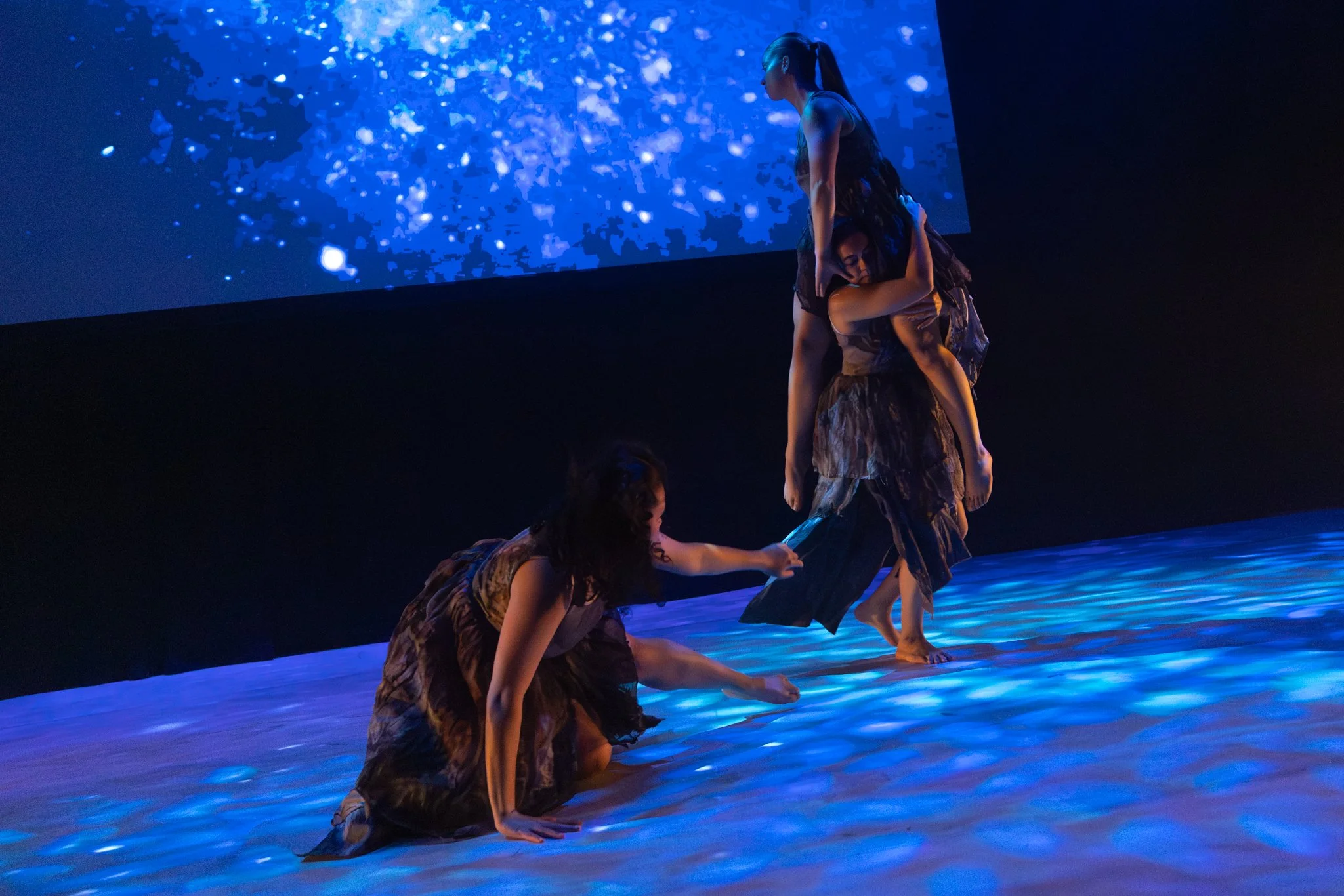 Sydney Opera House 2025 
Photography by Joseph Meyers