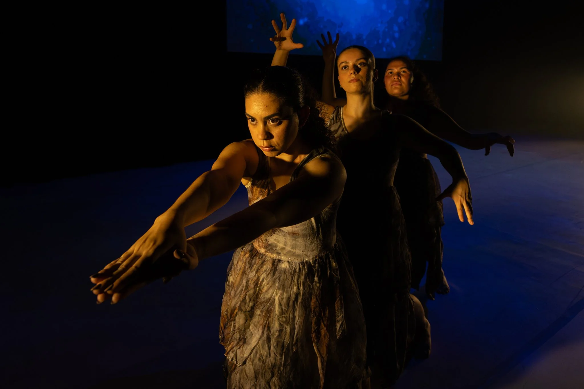 Sydney Opera House 2025 
Photography by Joseph Meyers